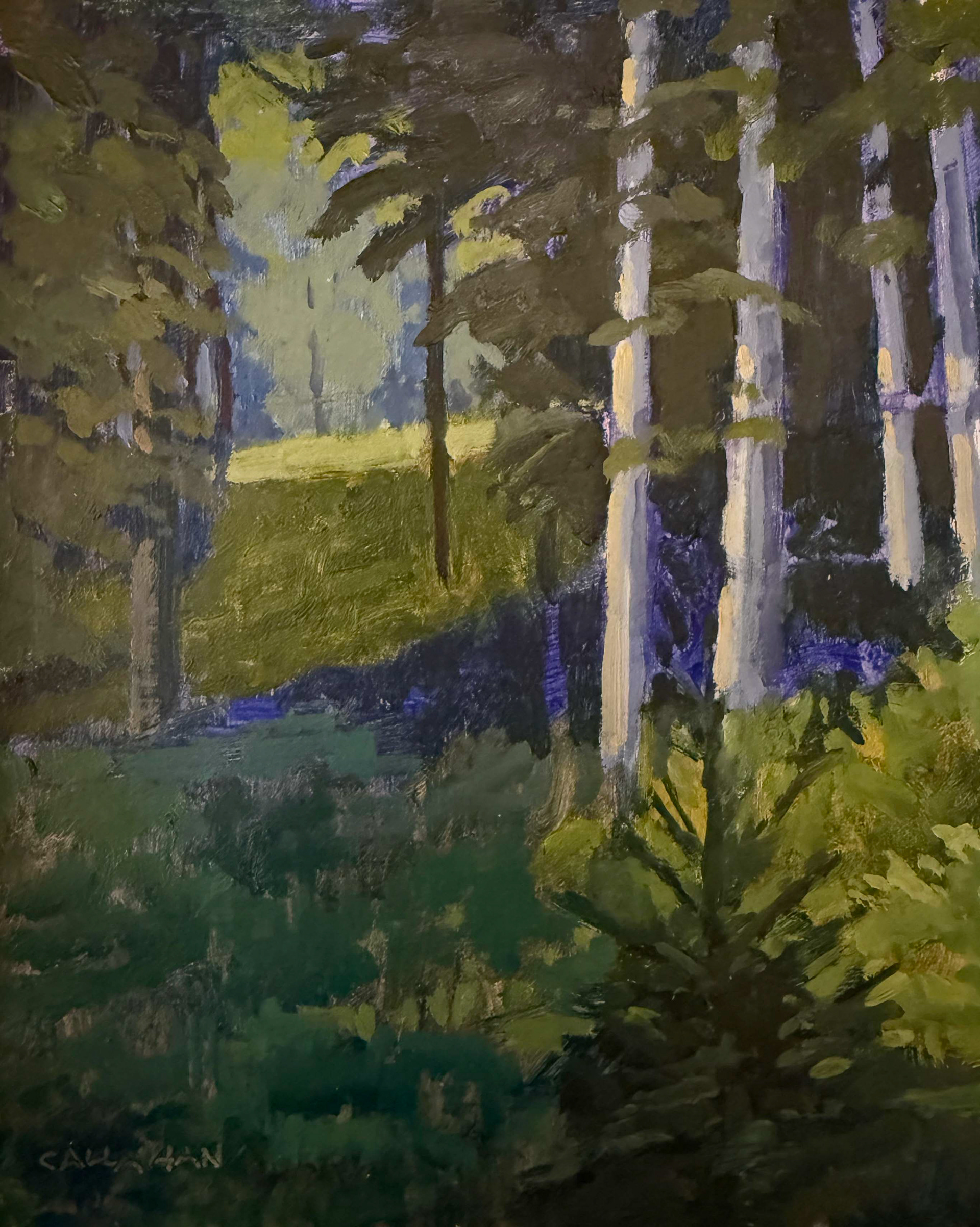 Fauvist Forest 8x10 