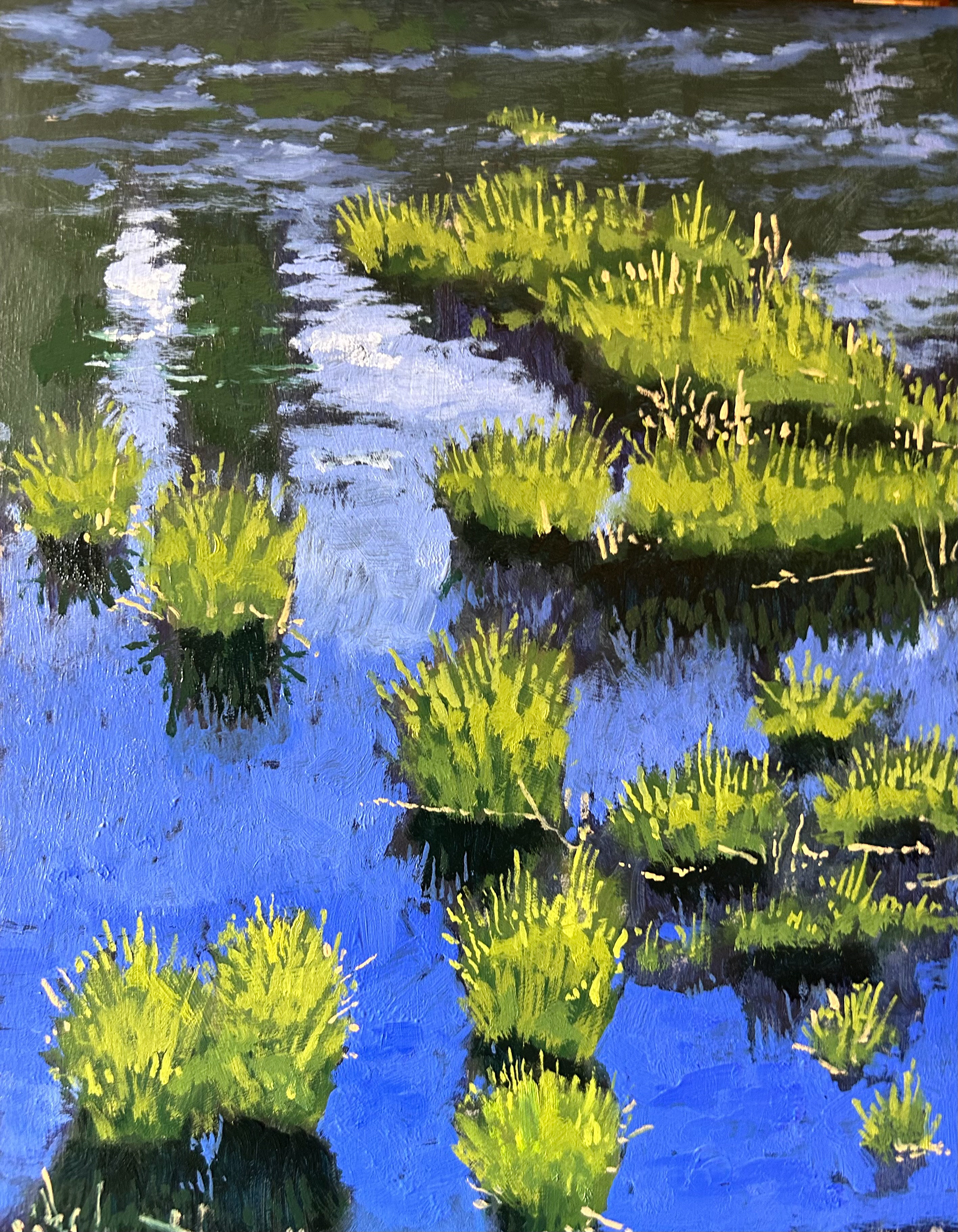 Marsh 8x10 oil on panel SOLD