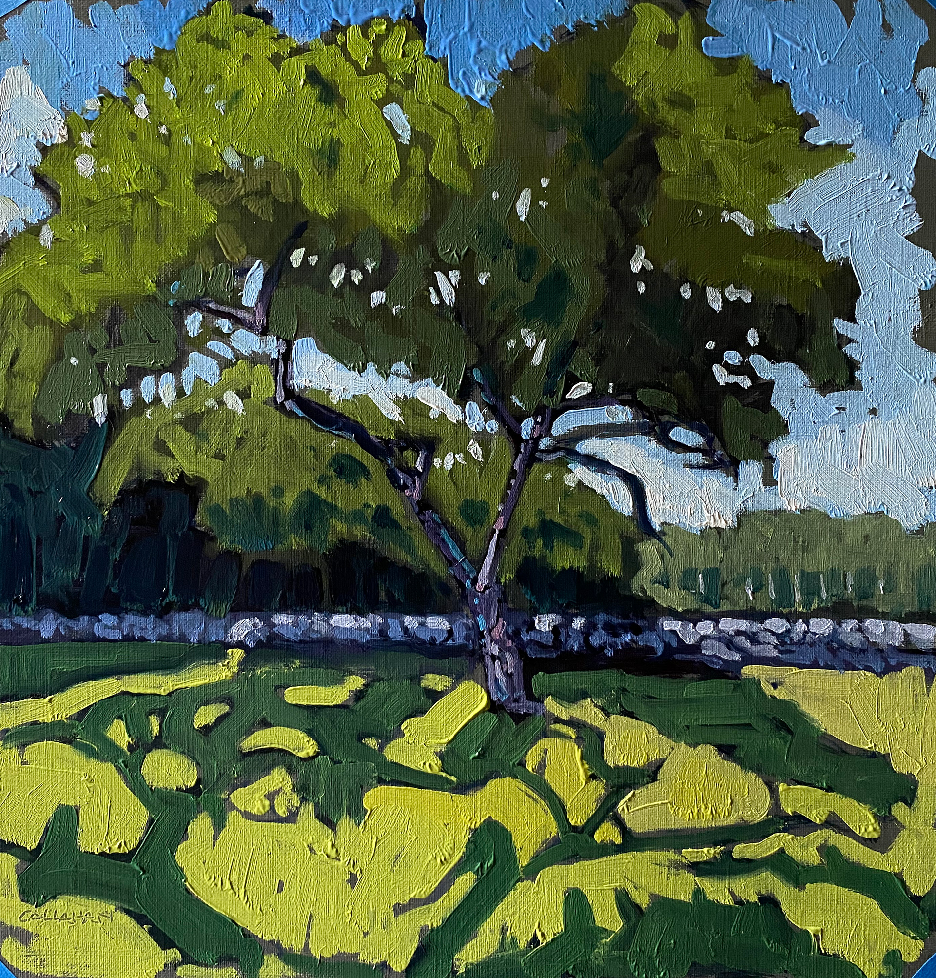 Mondrian's Tree, 12 x 12 oil on panel