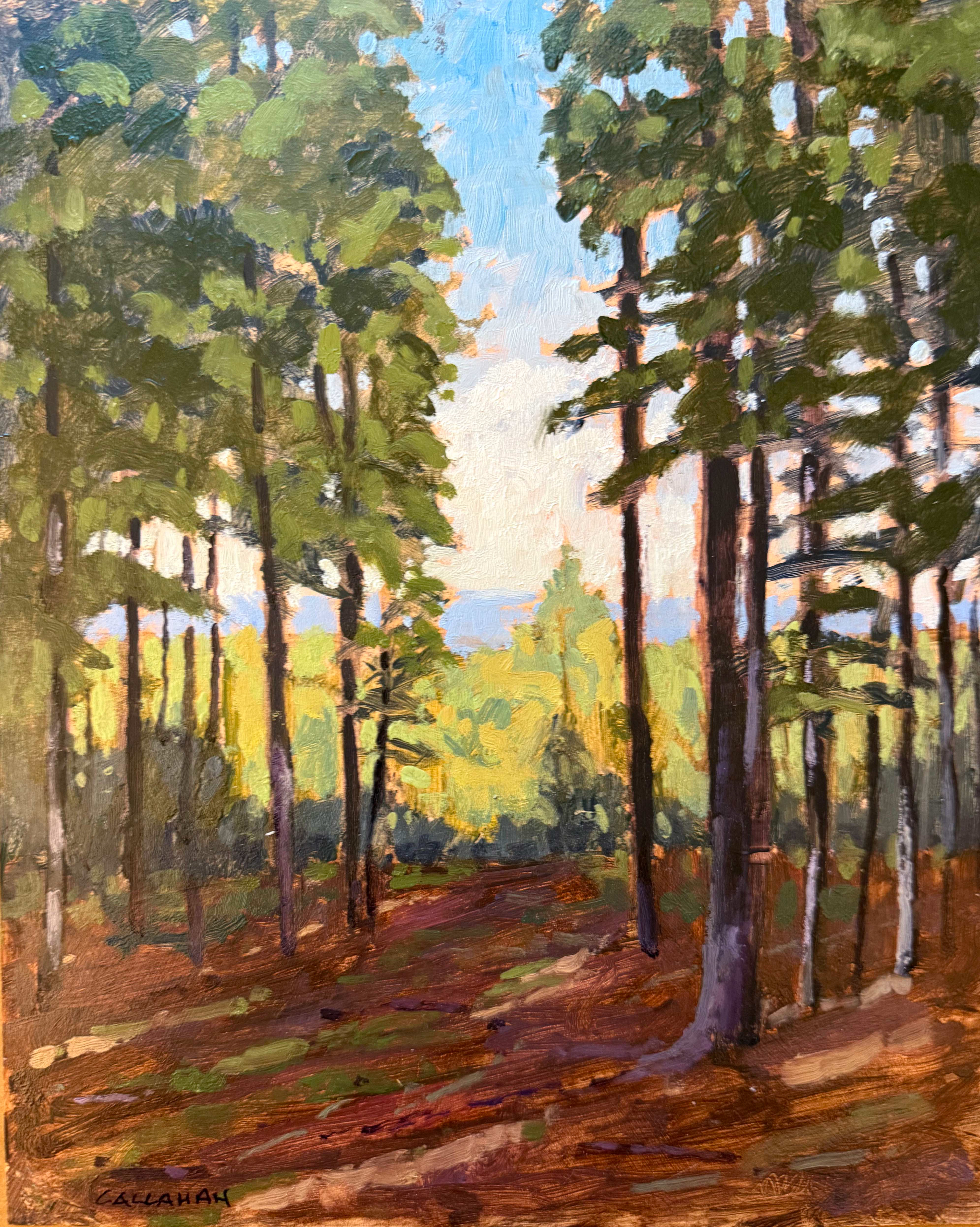Bavarian Fores 8x10