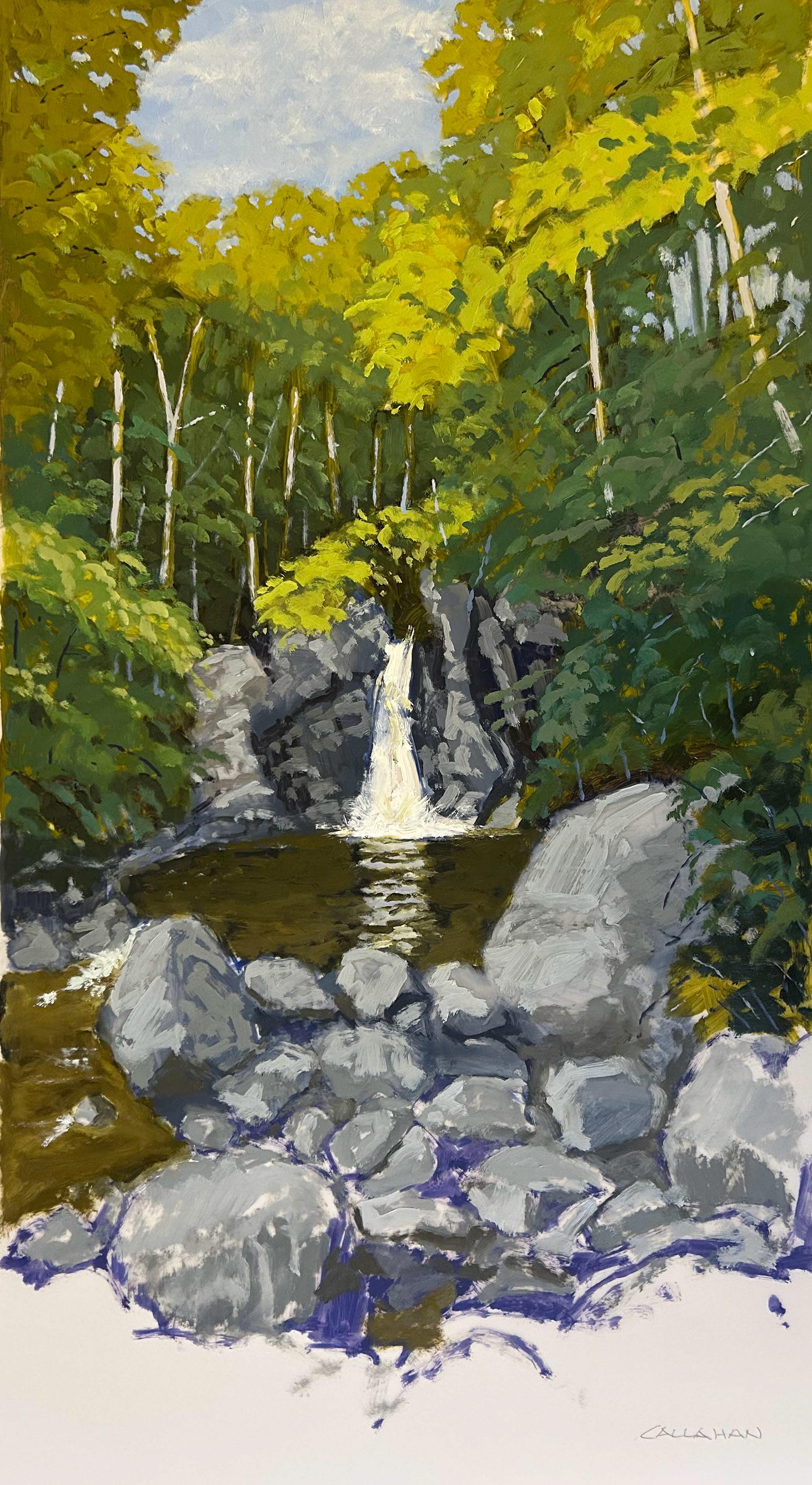 Kinsman Falls Franconia 8x22 Oil on Mylar