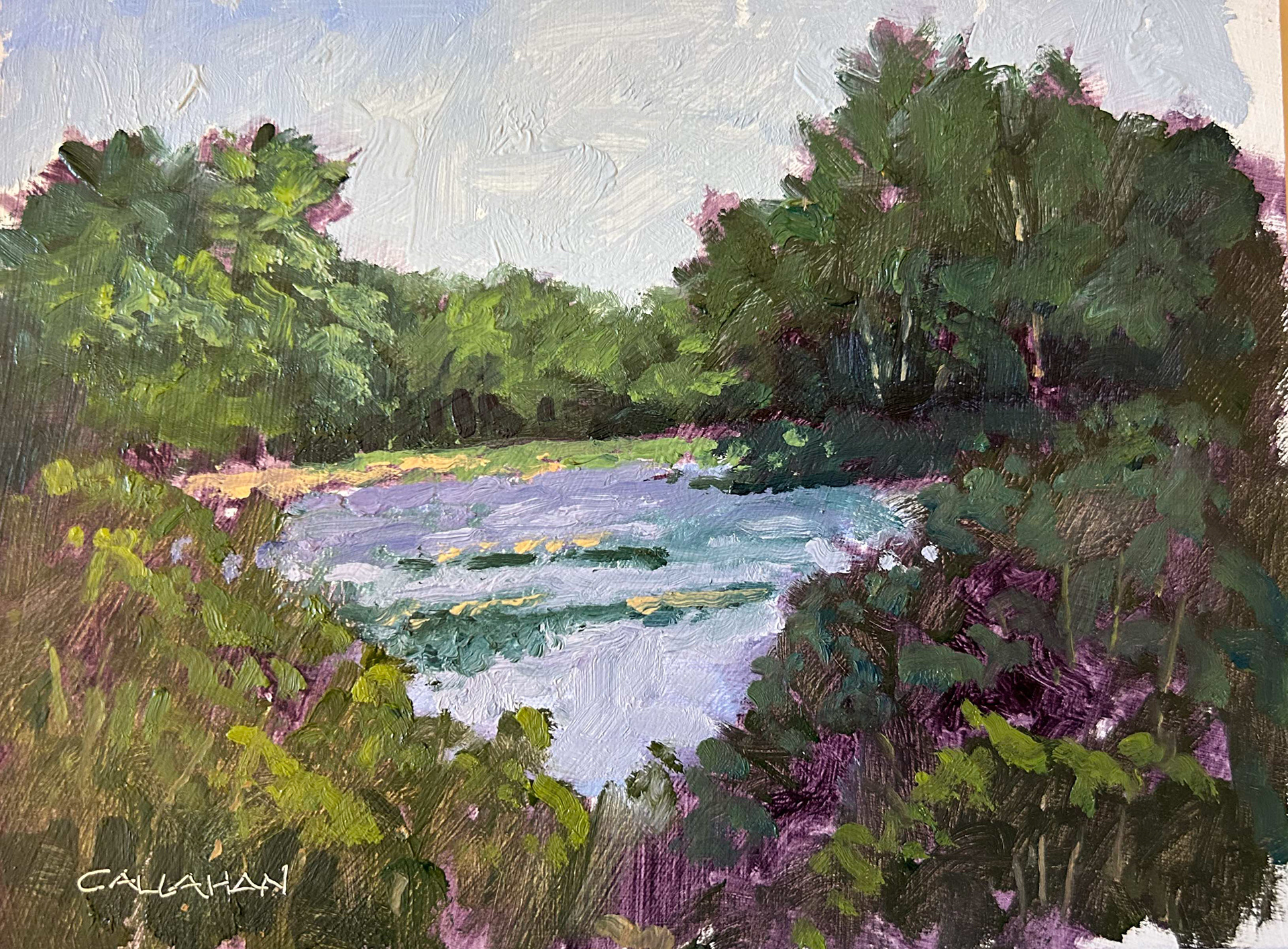 Kimball Lake 2 8x6 oil on panel
