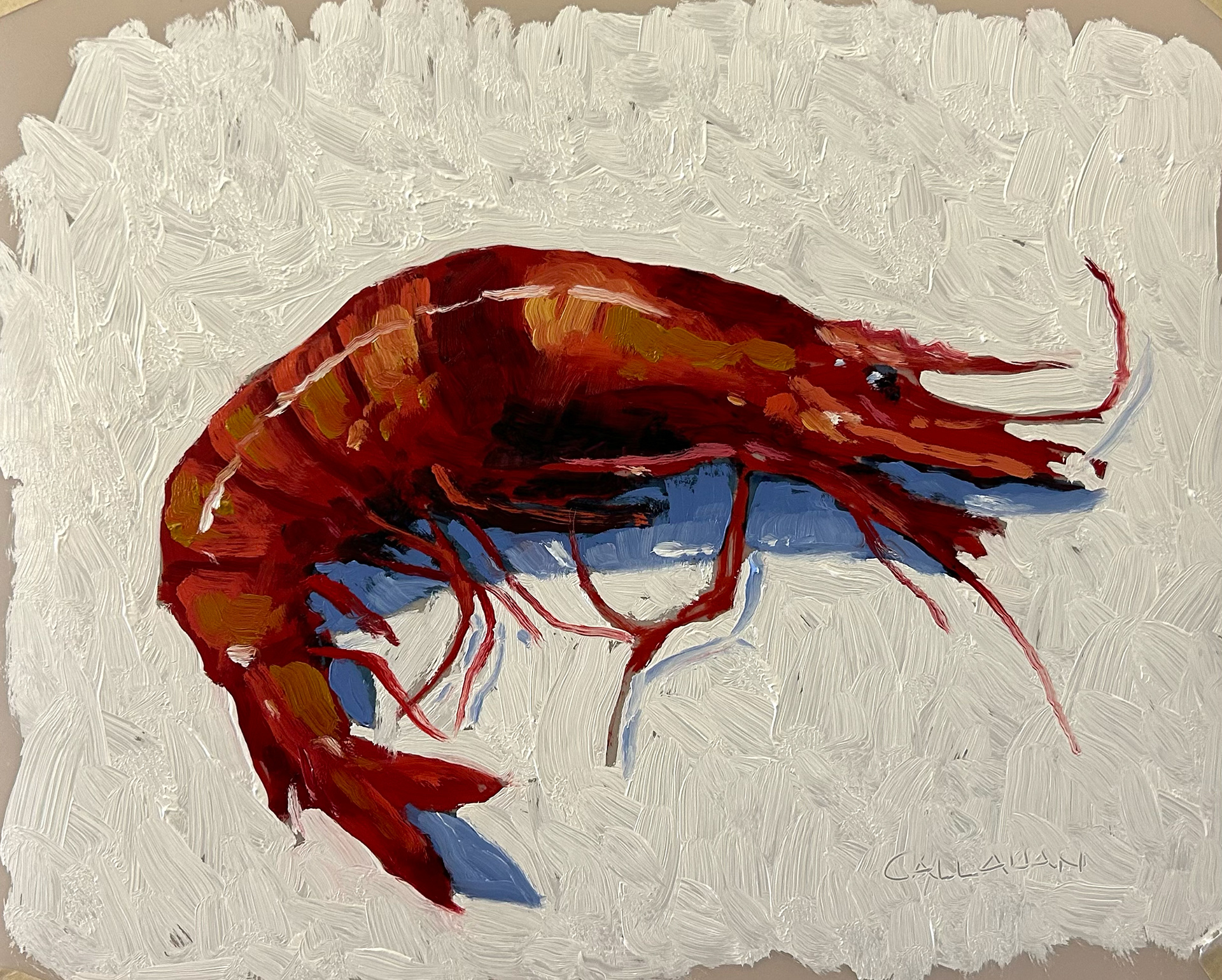 1 Striped Palamos Shrimp 10x8 oil on Mylar