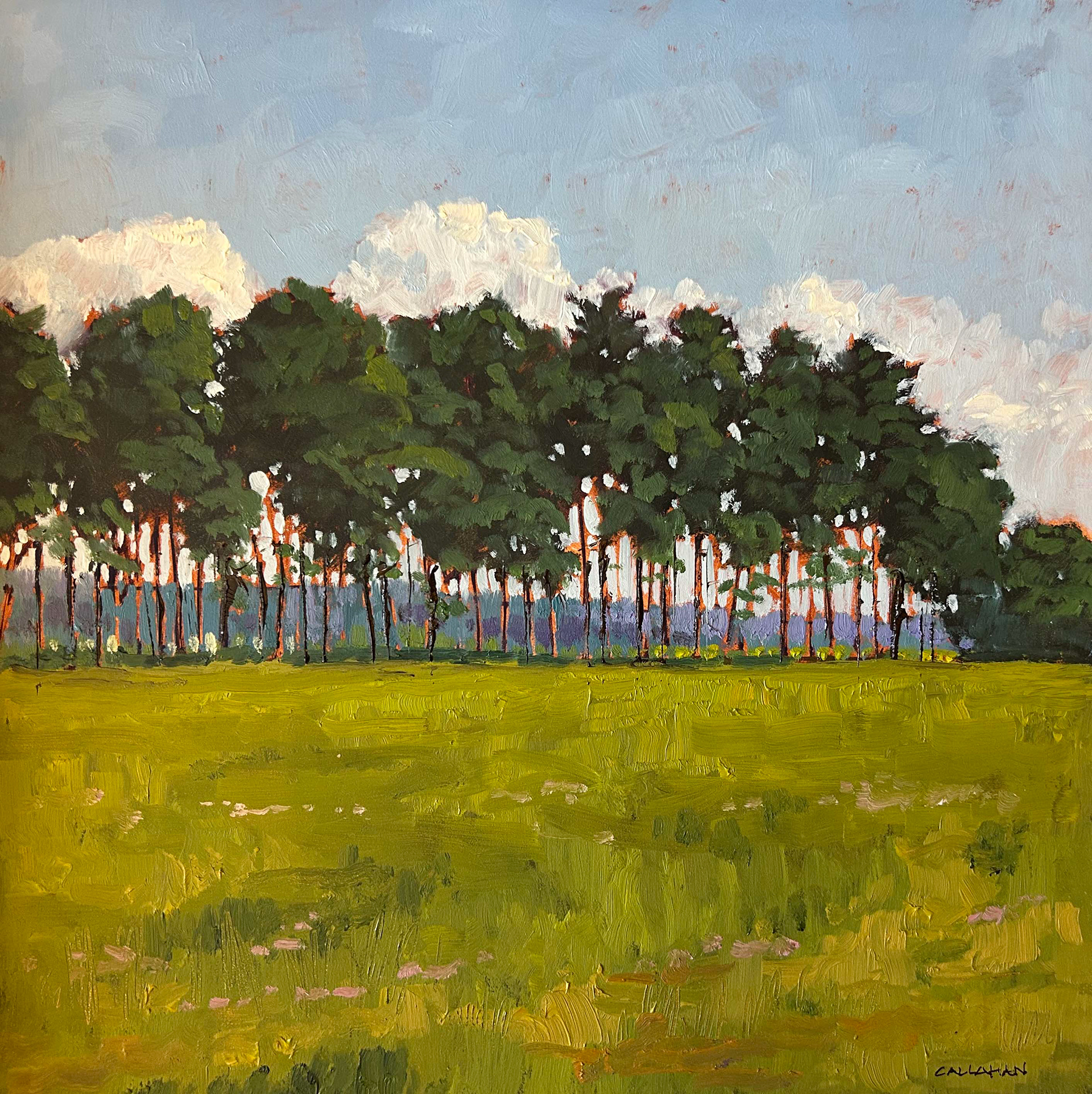 Langley Pines 12x12 Oil on Panel