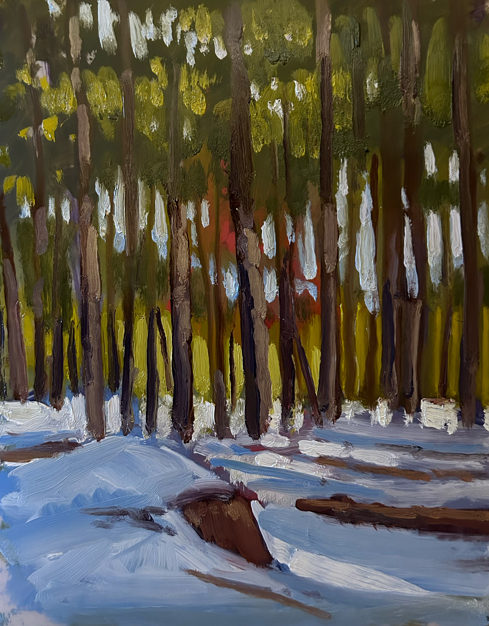 SPS XC Course in Winter 8x10 oil on Mylar
