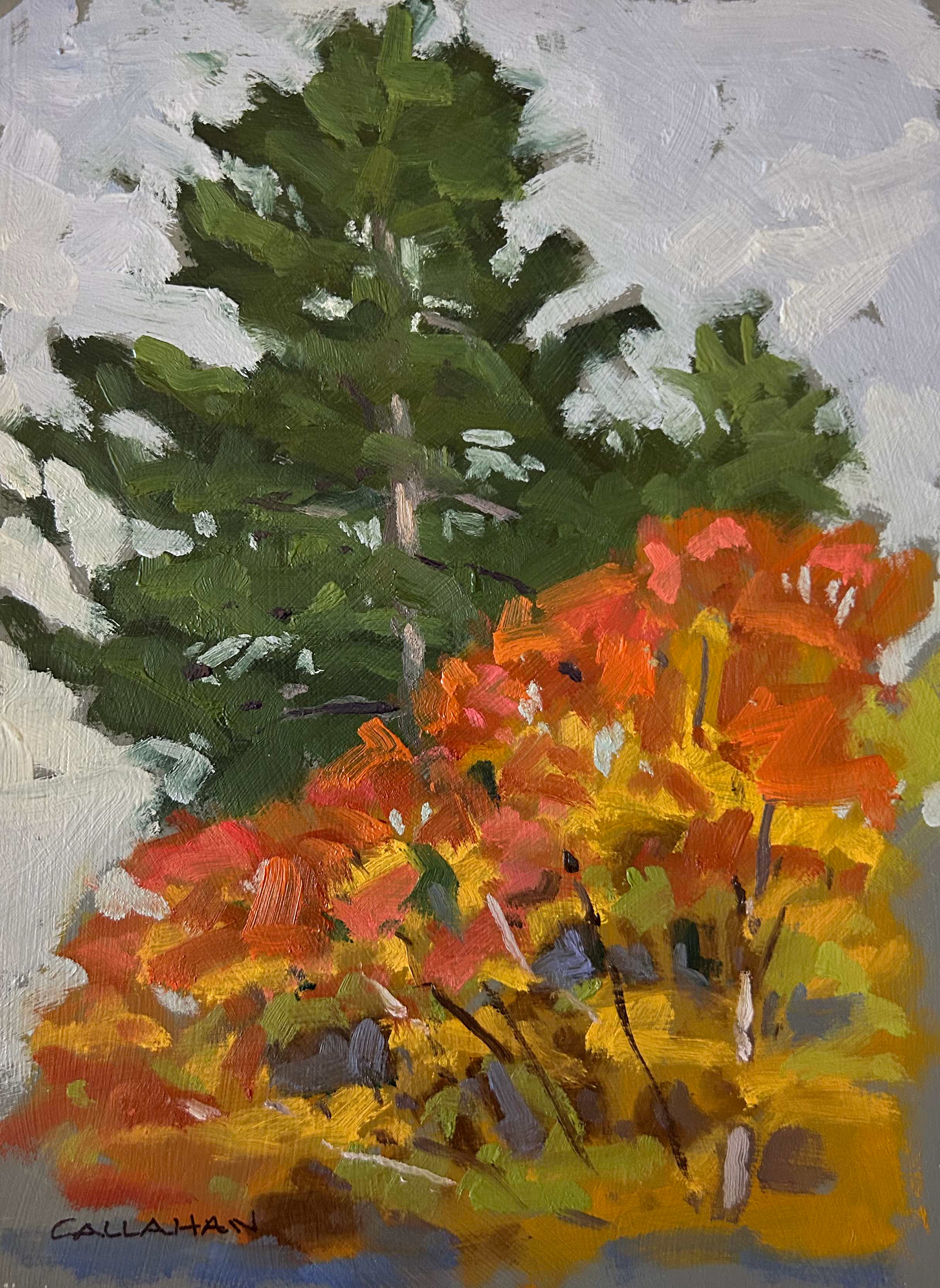 Autumn Study 2, 6x8 oil on panel