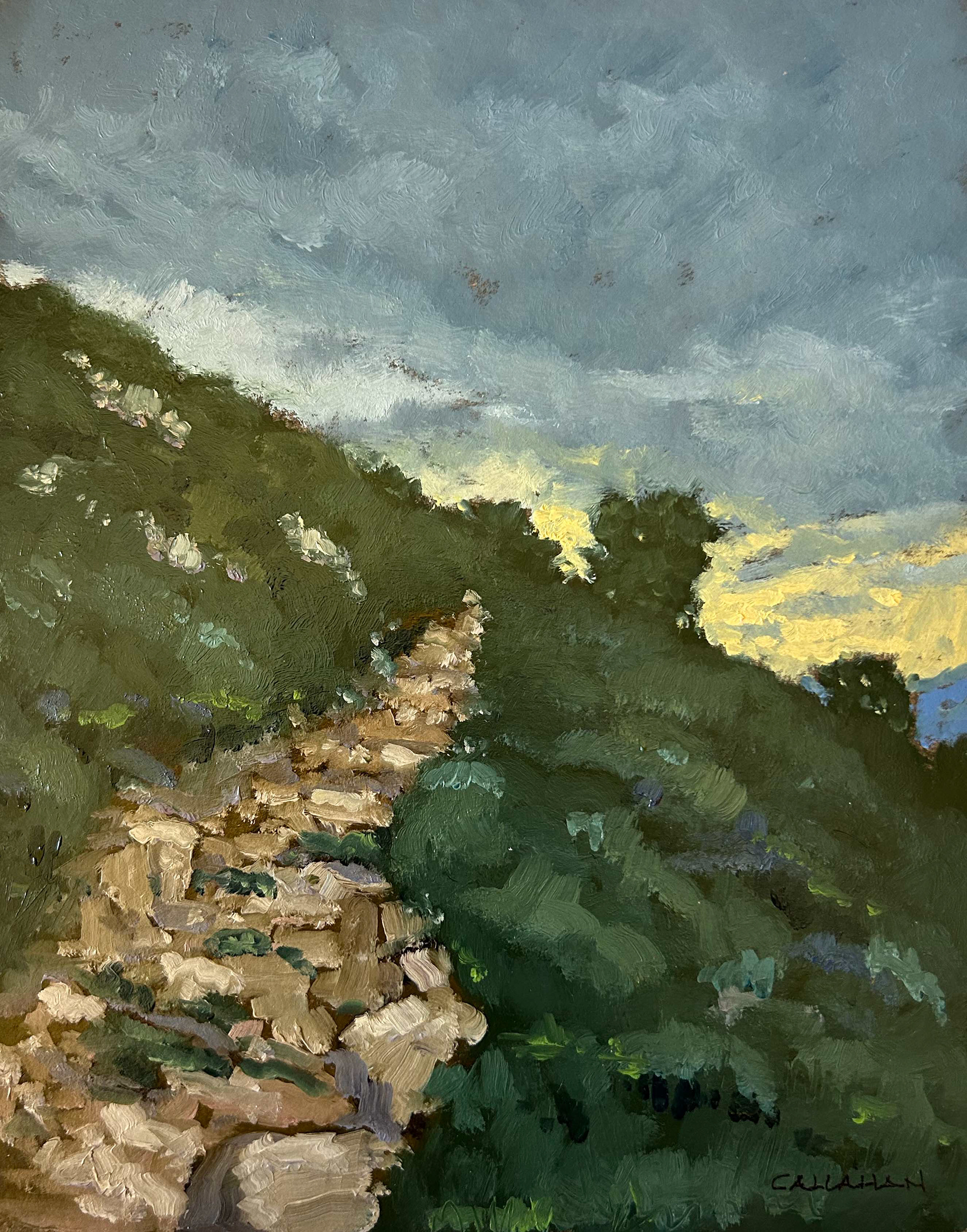 Toward Castel del Montgri 8x10