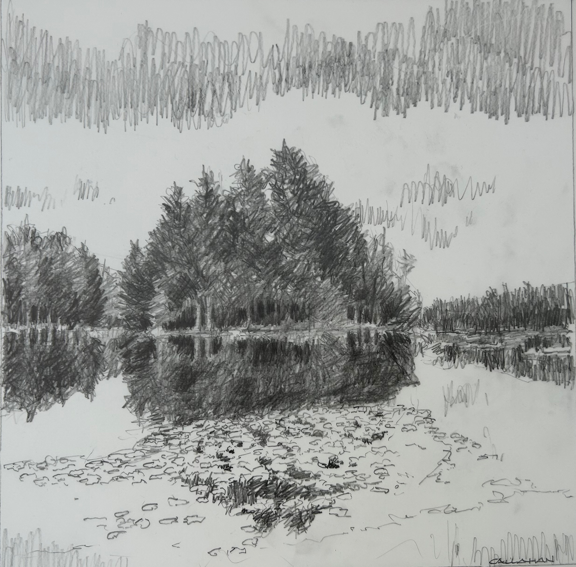 Island 10x10 graphite on Mylar  SOLD