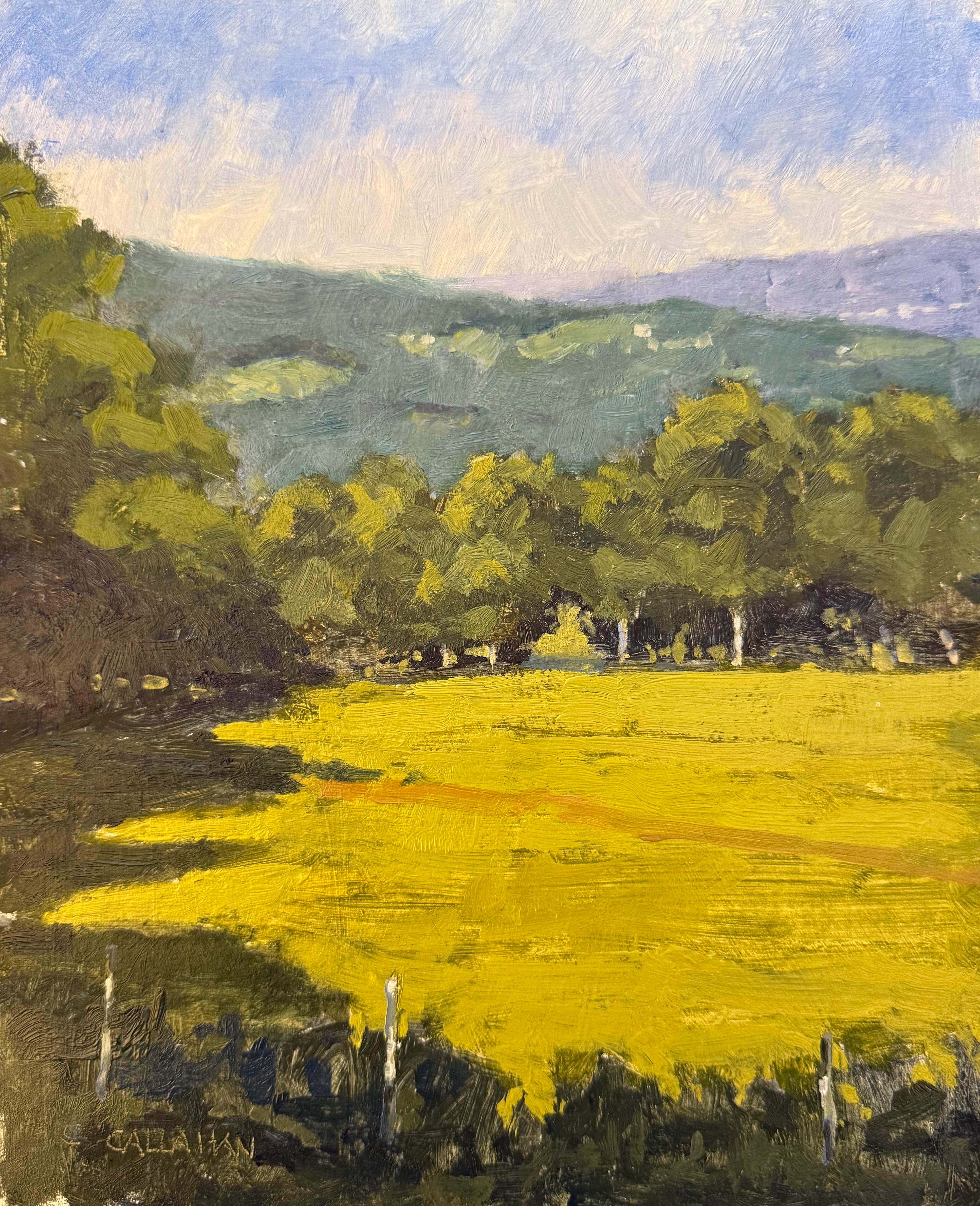 Oberfrauenau 4 8x10