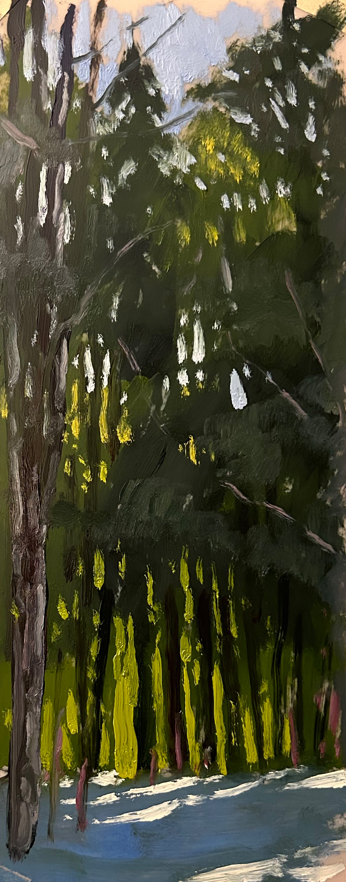 Tall Winter Pines 4x8 oil on Mylar