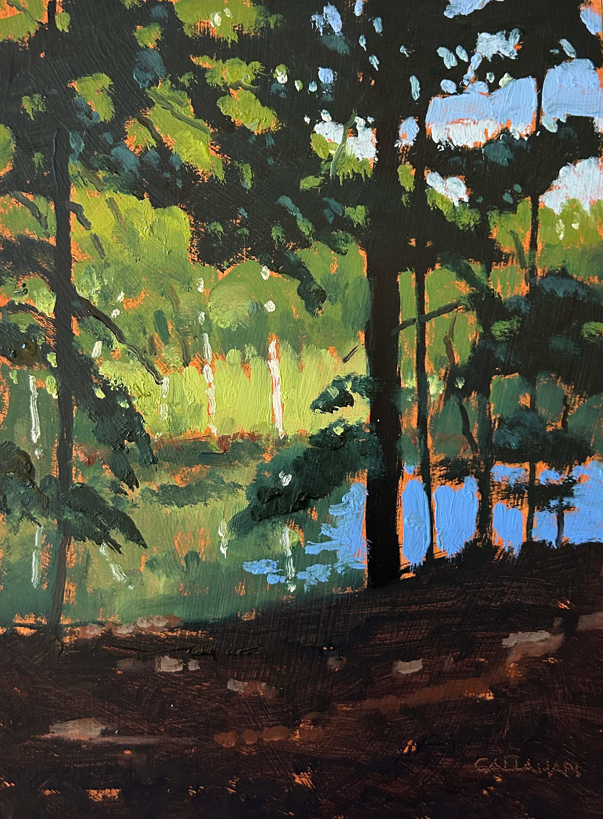 Shade Pines 6x8 oil on panel