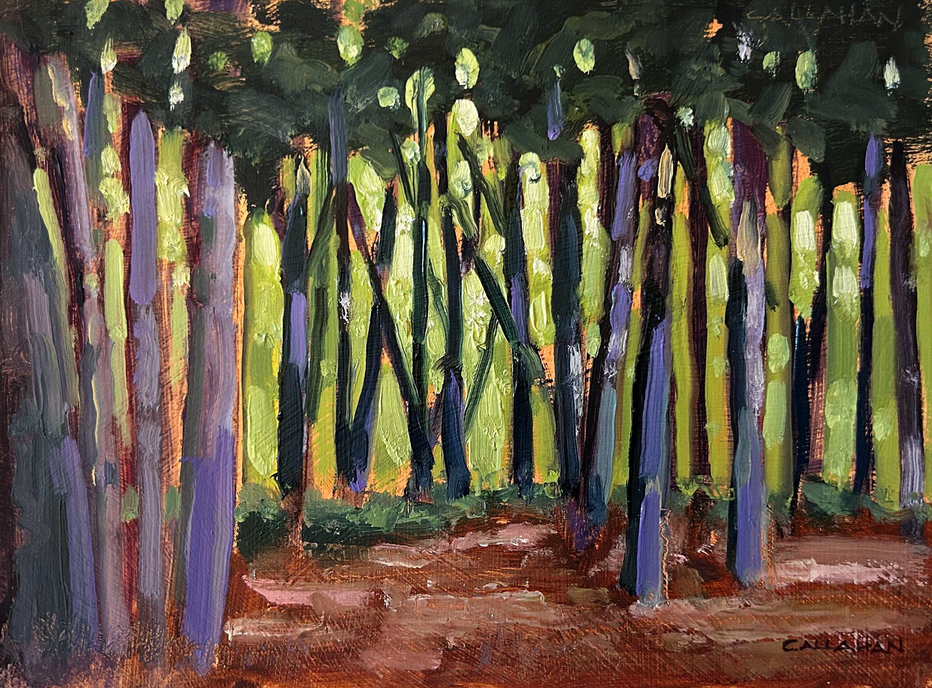 NH Pines 8x6 oil on panel