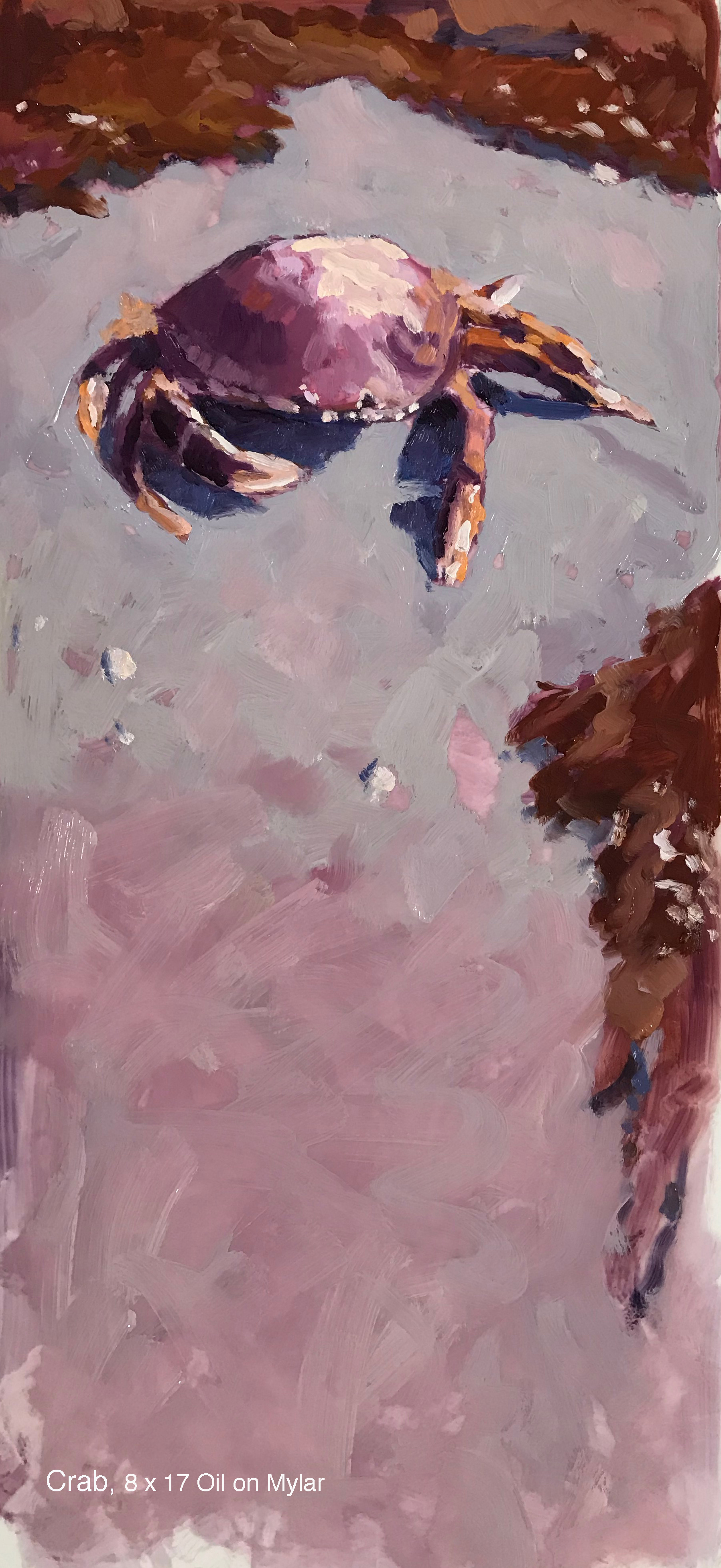 Hampton Crab Oil on Mylar 