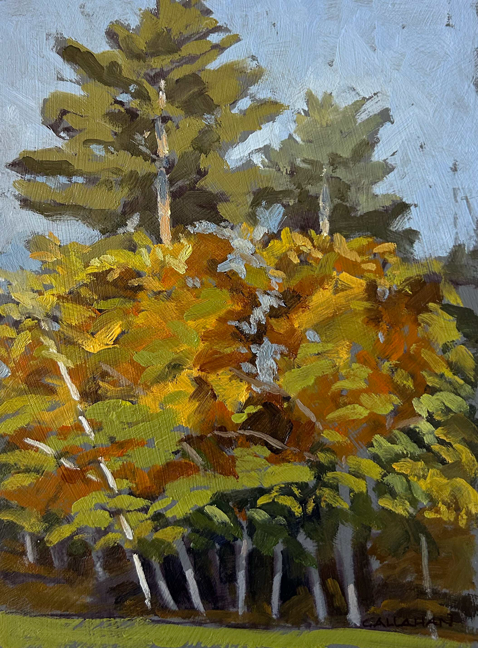 Autumn Study 1, 6x8 oil on panel