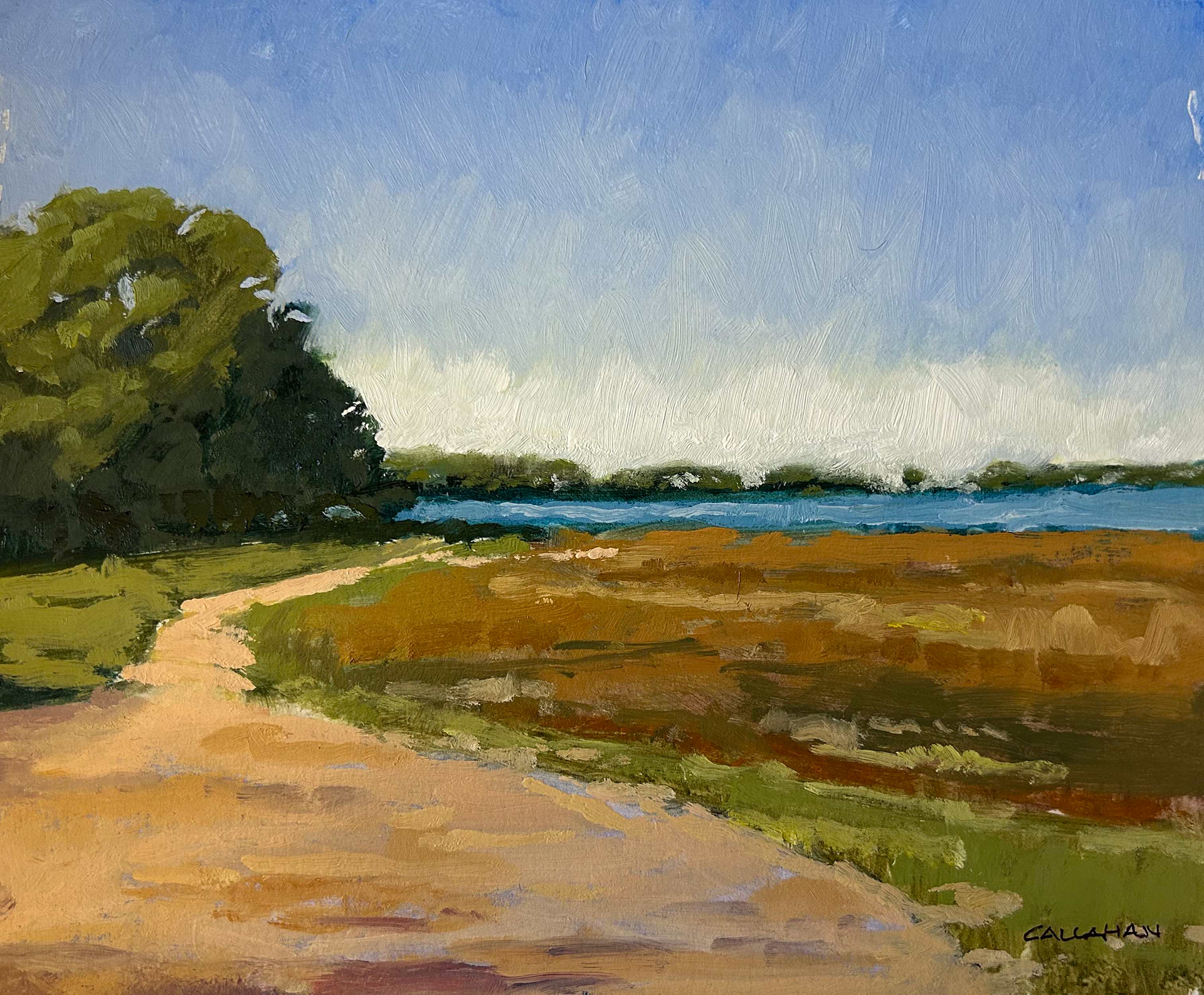 Cape Cod Path 10x8 oil on panel