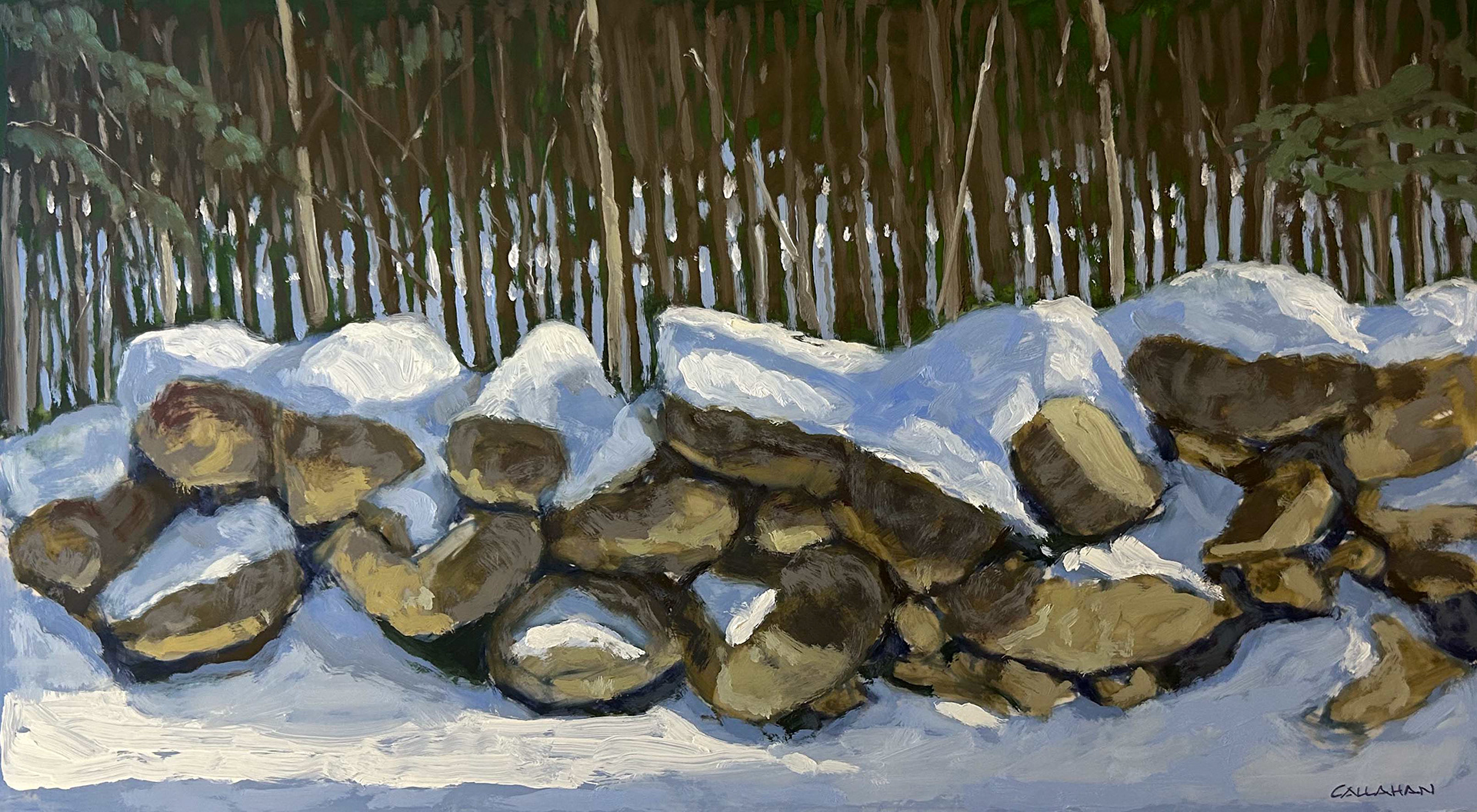 Winter Wall 18x10 Oil on Mylar