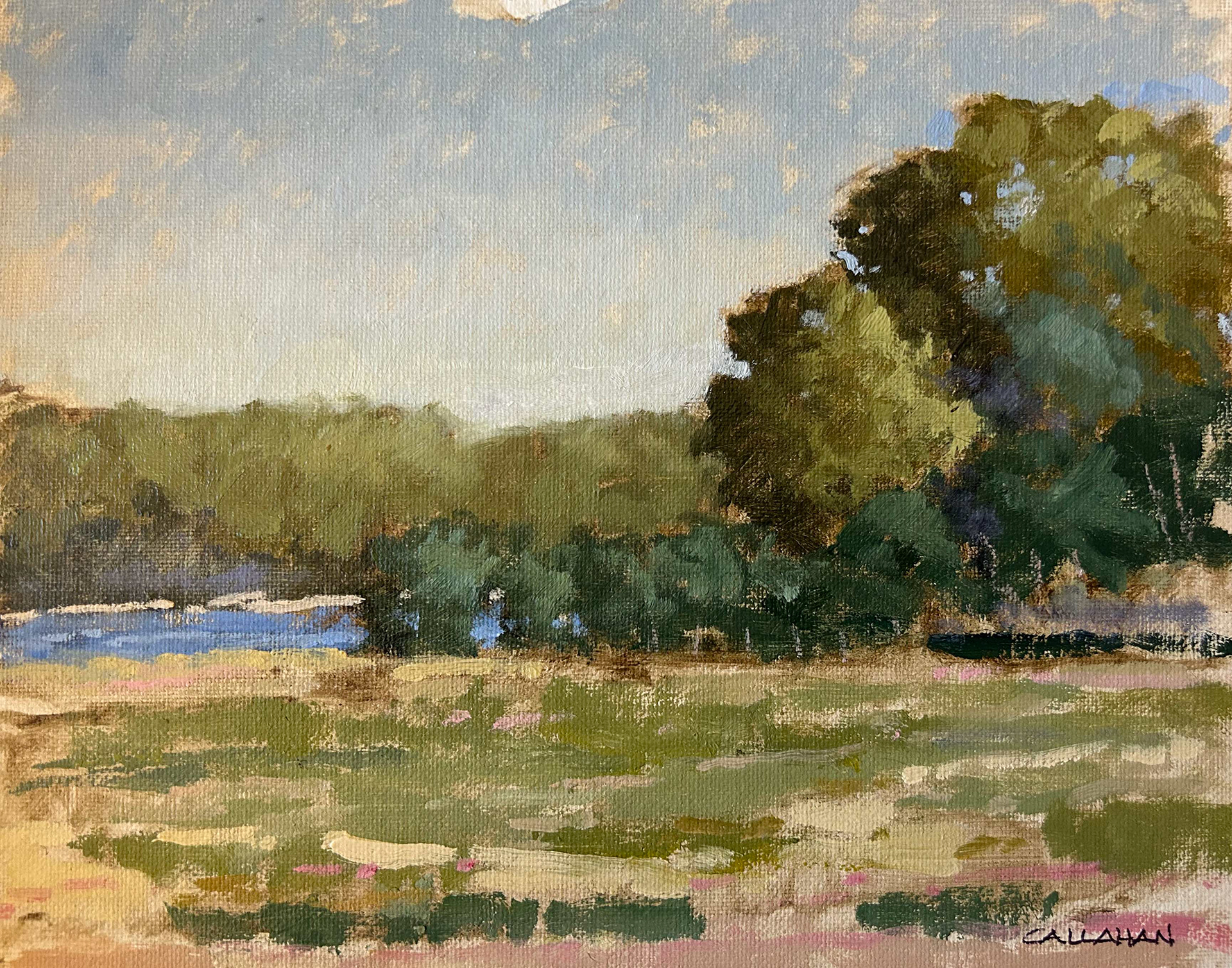 Pocasset 10x8 oil on canvas board