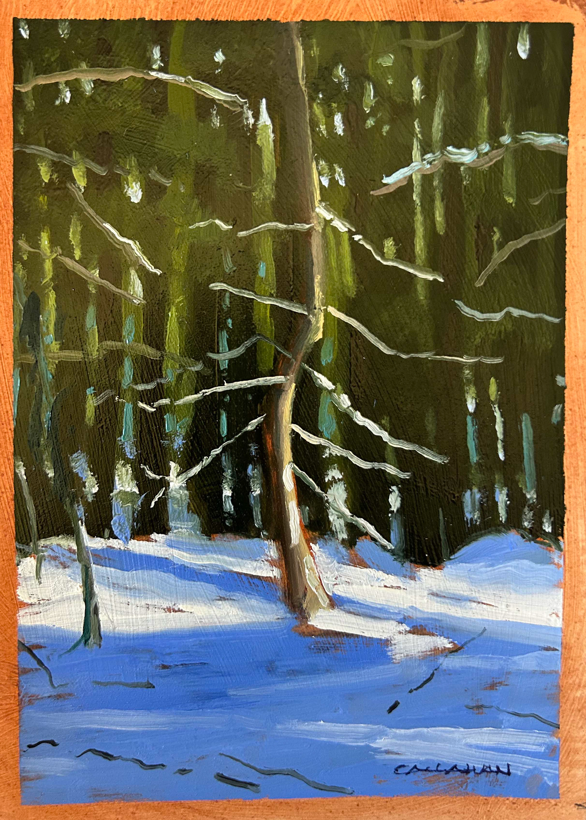 Study Lone  Bent Tree in Winter 5x7 Reeves WC Paper