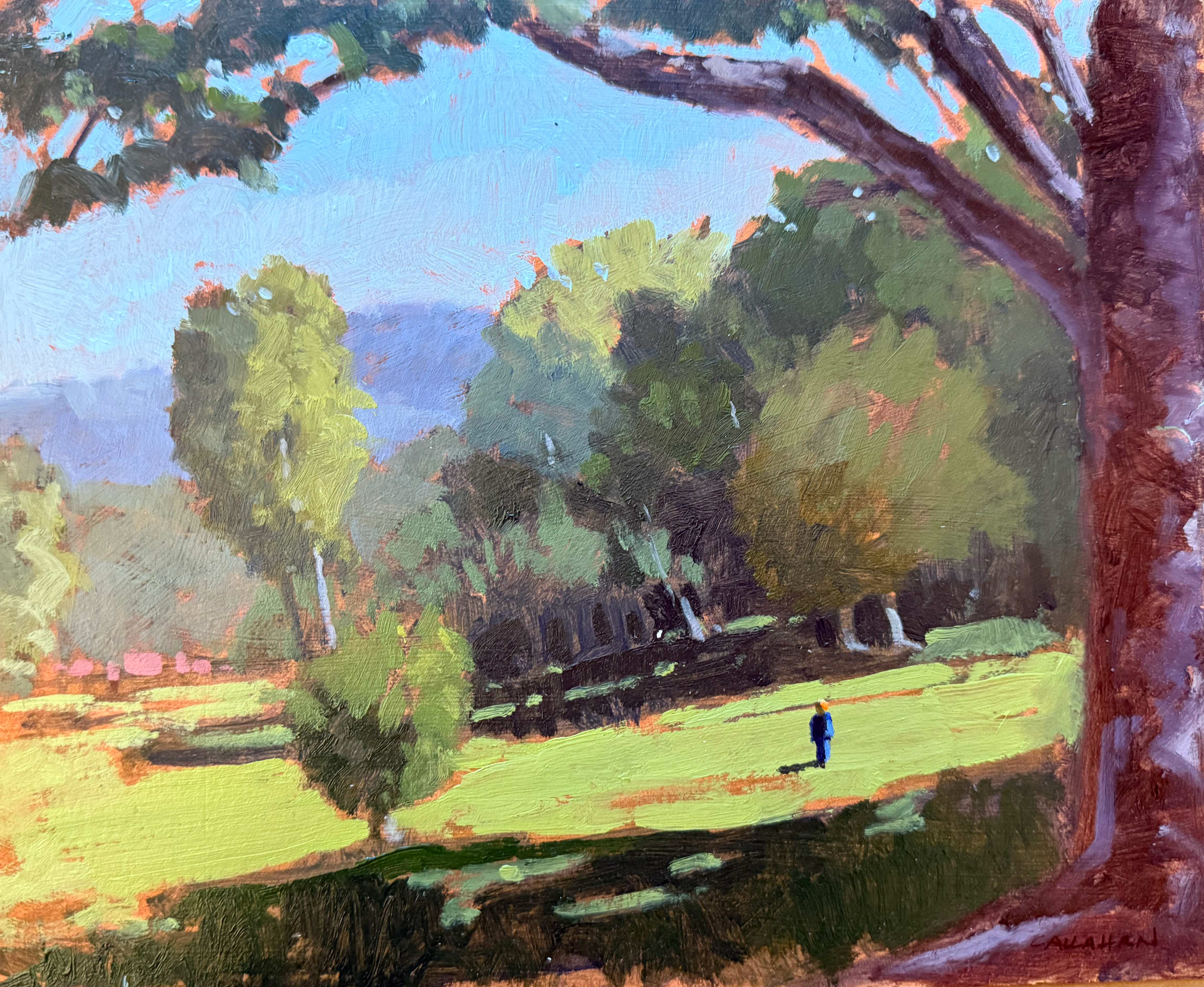 Trump in Bavarian Field 10x8