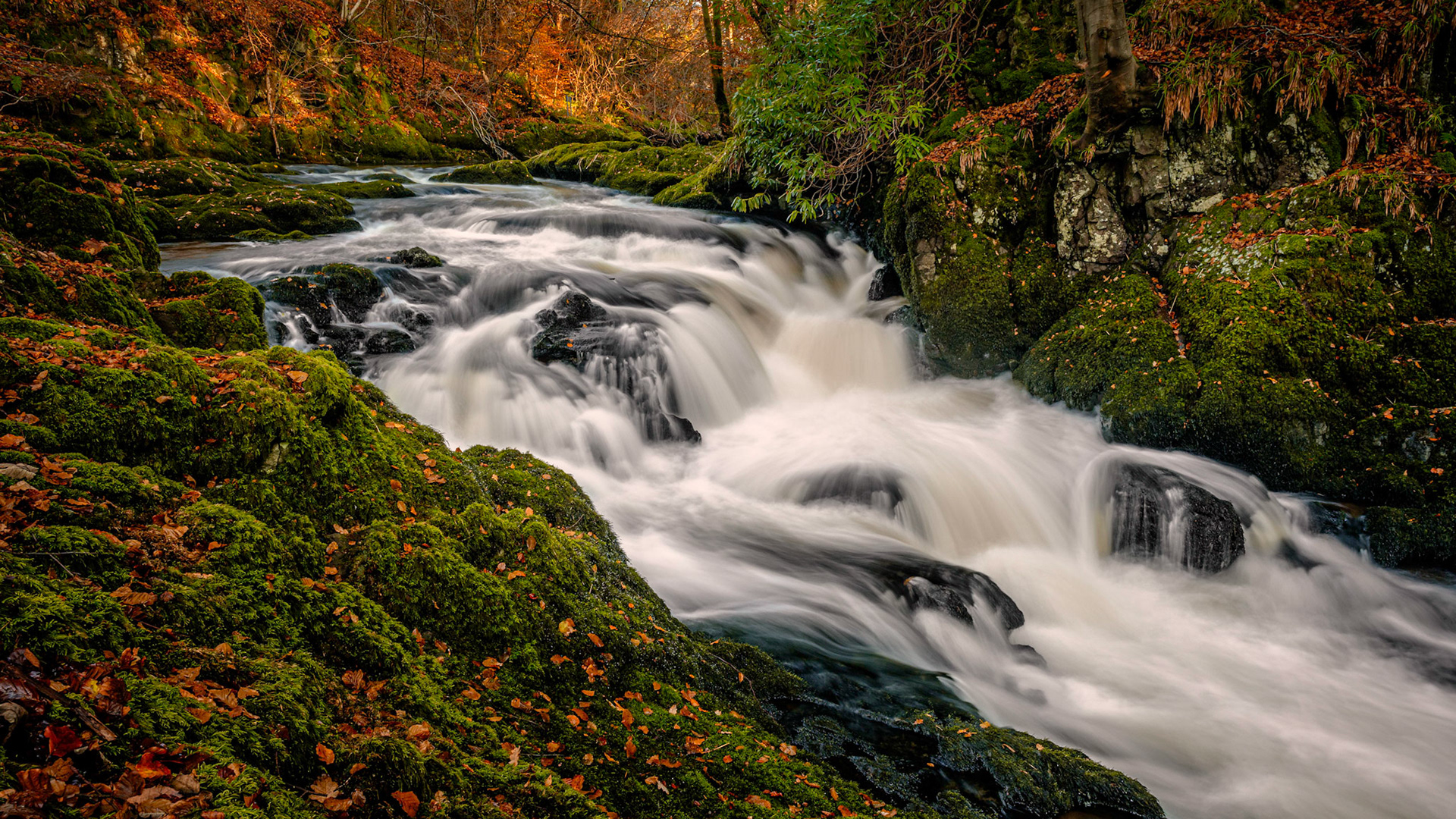 RUMBLING BRIDGE