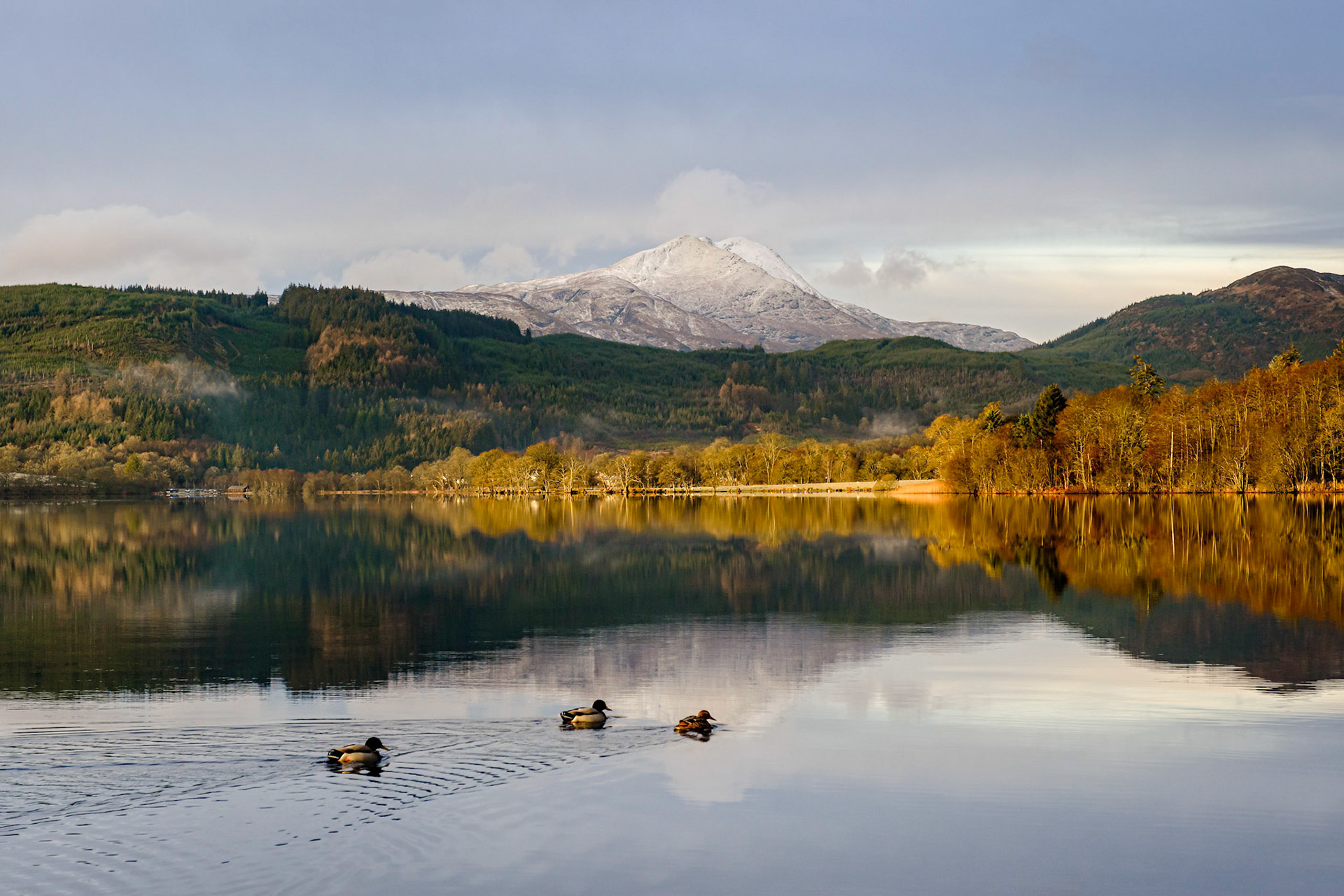 LOCH ARD