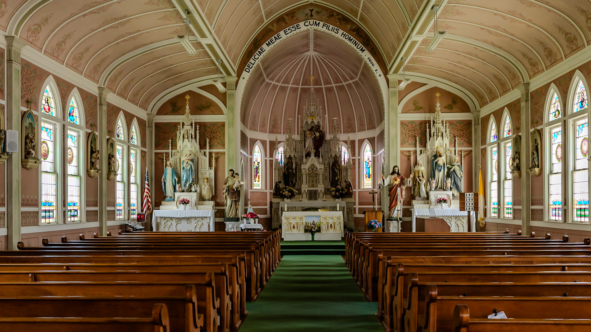 Location: Houston, TX — Malone St. Backyard