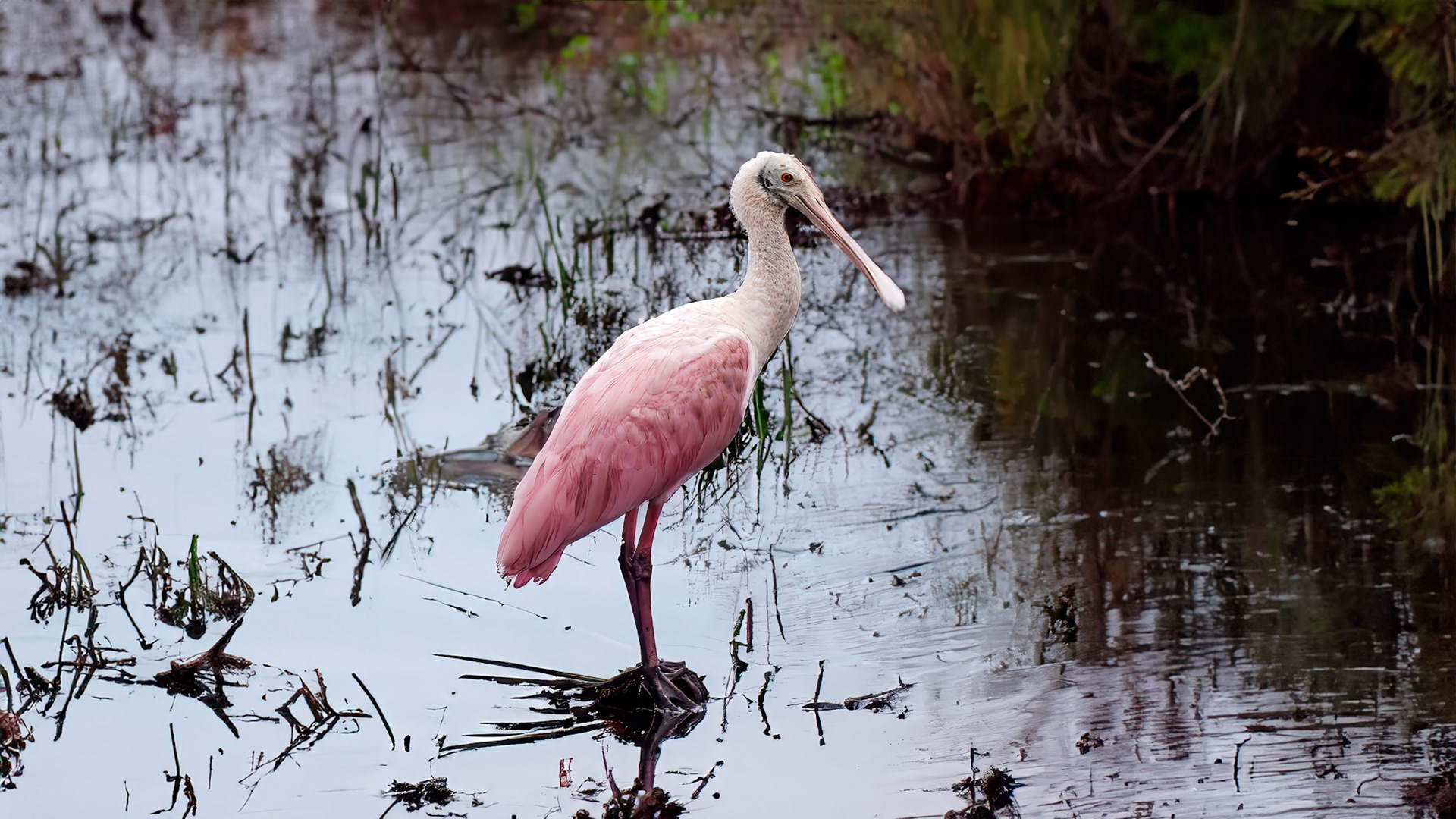 Memefee Flats Jackson Co, TX