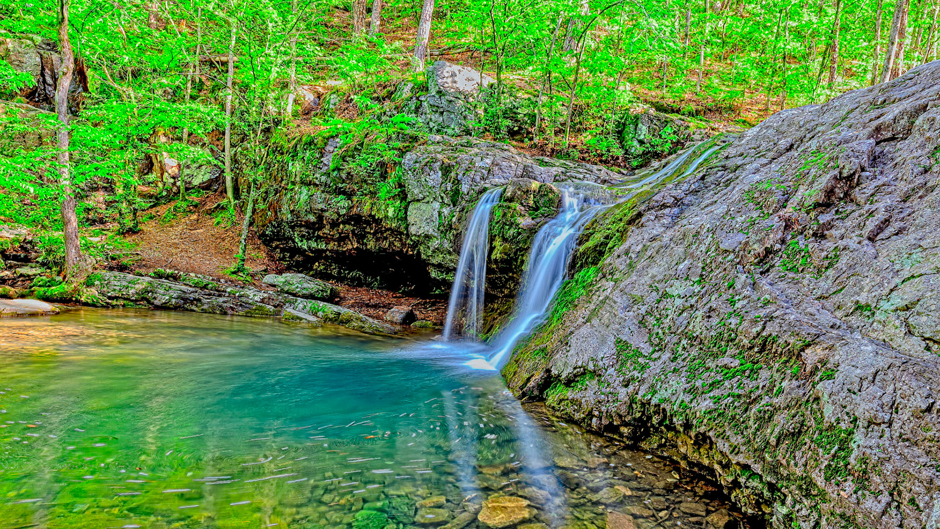 Location: Lake Catherine State Park in Hot Springs Arkansas