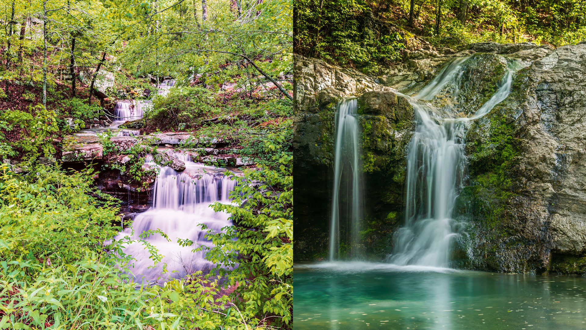 Location: Lake Catherine State Park in Hot Springs Arkansas