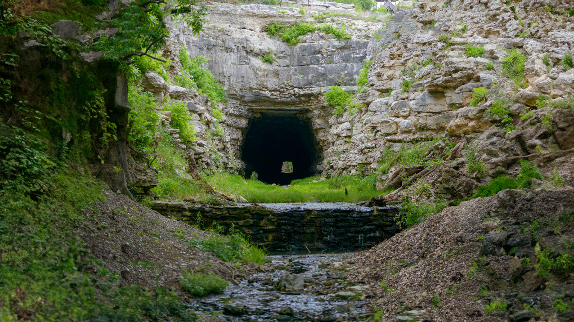 Location:Old Tunnel State Park, Near Fredericks Burg, TX