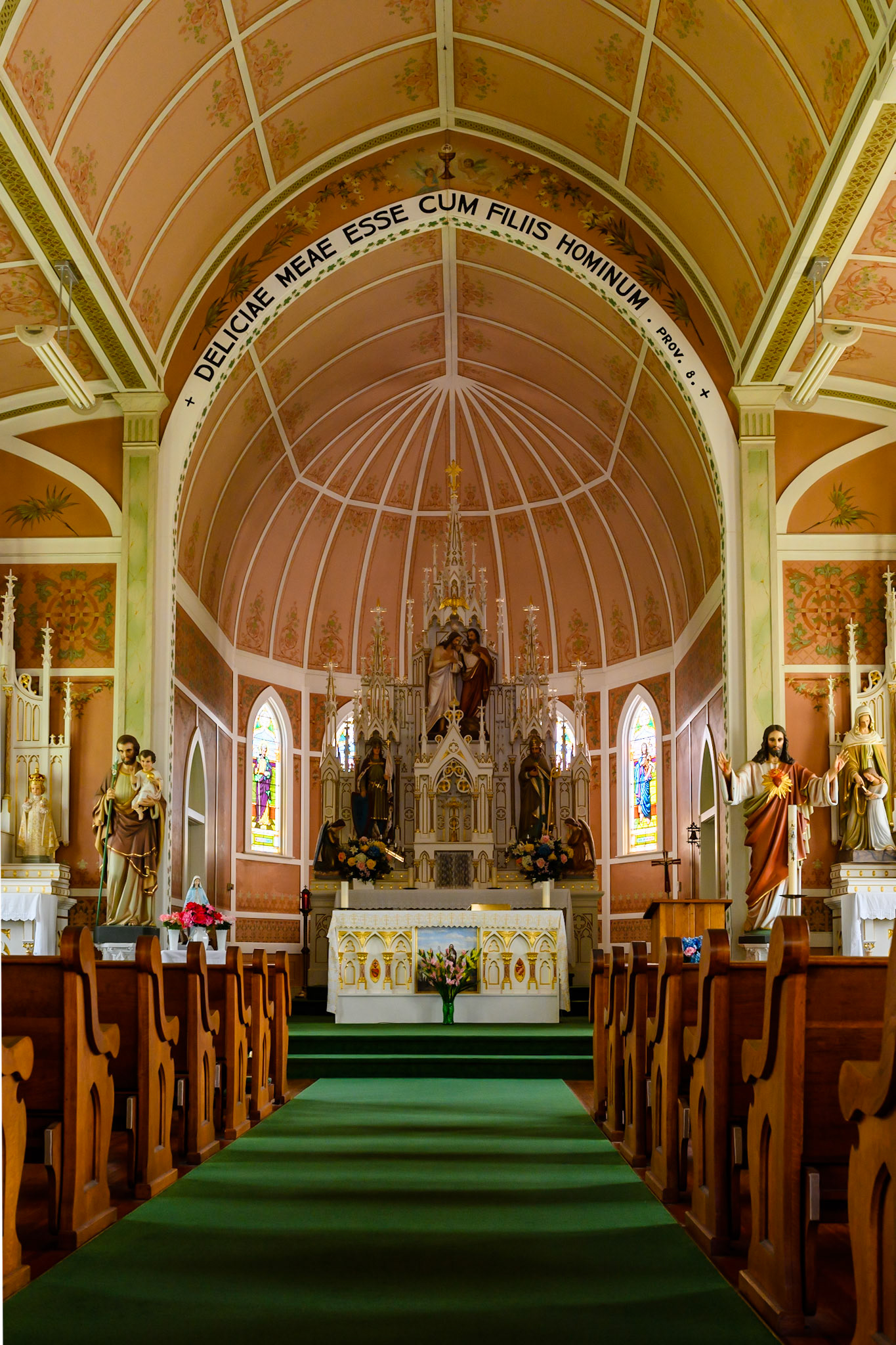 Location: Houston, TX — Malone St. Backyard