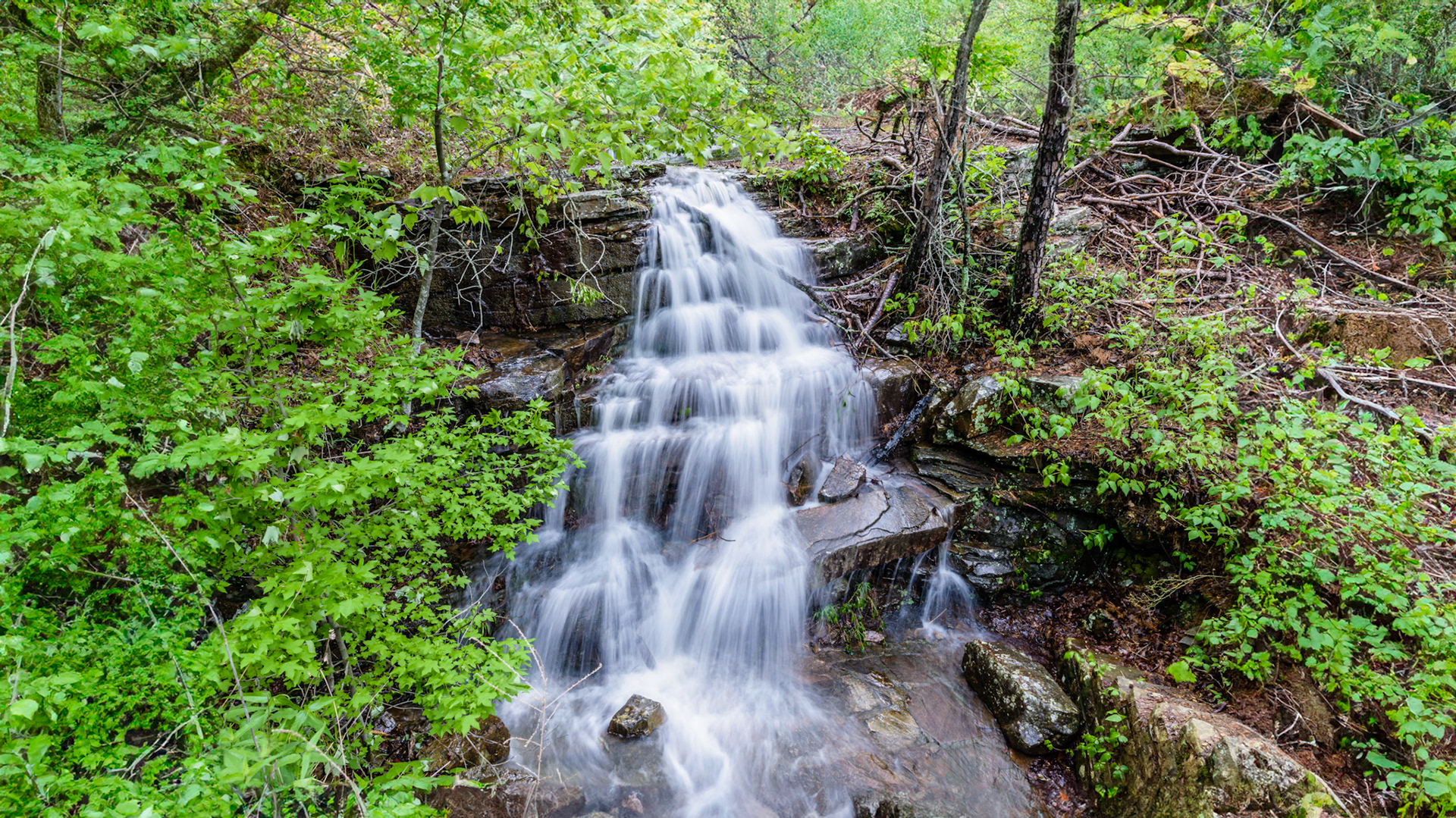 Location: Mount Magazine S.P. Arkansas