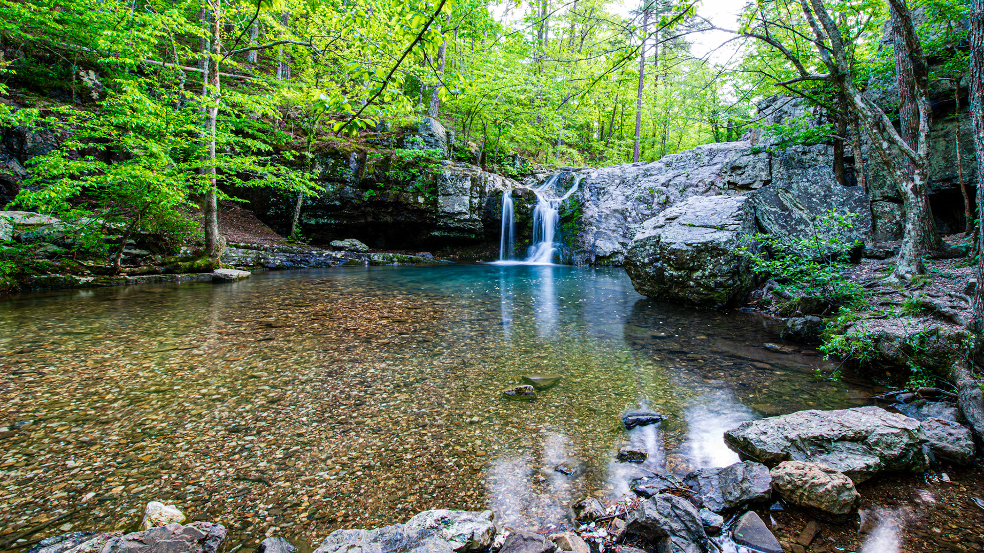 Location: Lake Catherine State Park in Hot Springs Arkansas