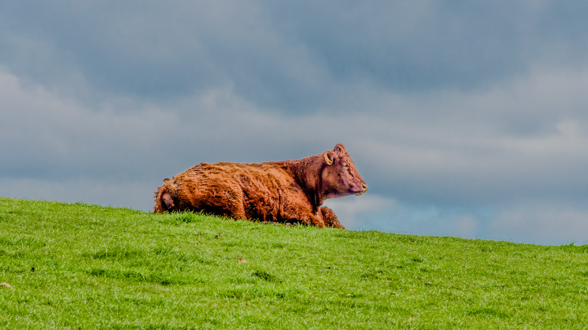 Location: Carpenter's HouseCullerlieWesthill Aberdeenshire , Scotland