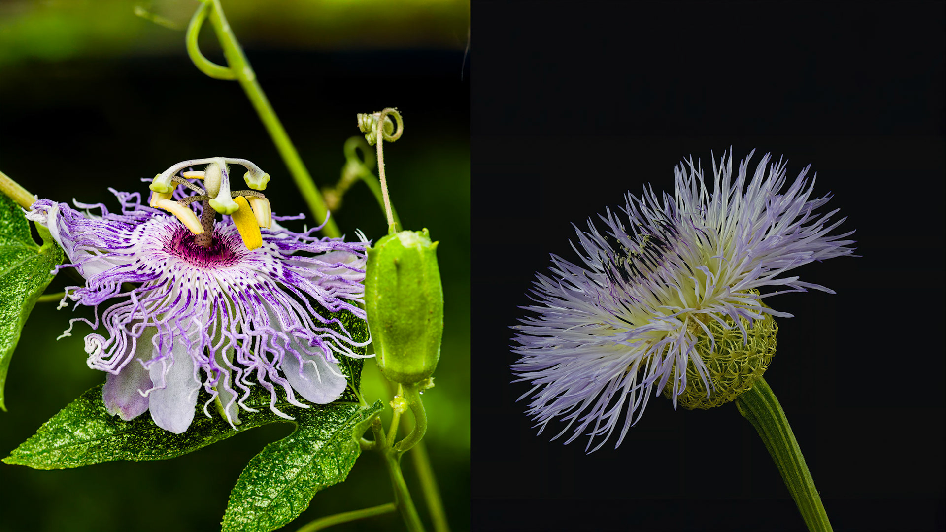 Location: Home, Bellaire.TX