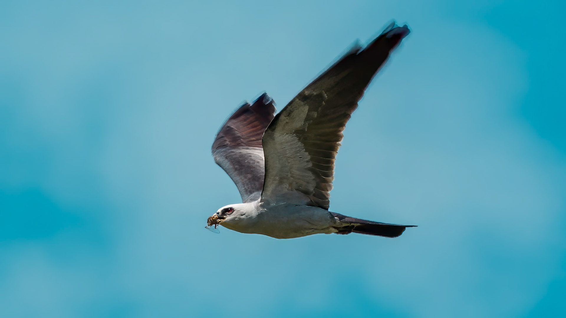 Location: Bellaire, TX