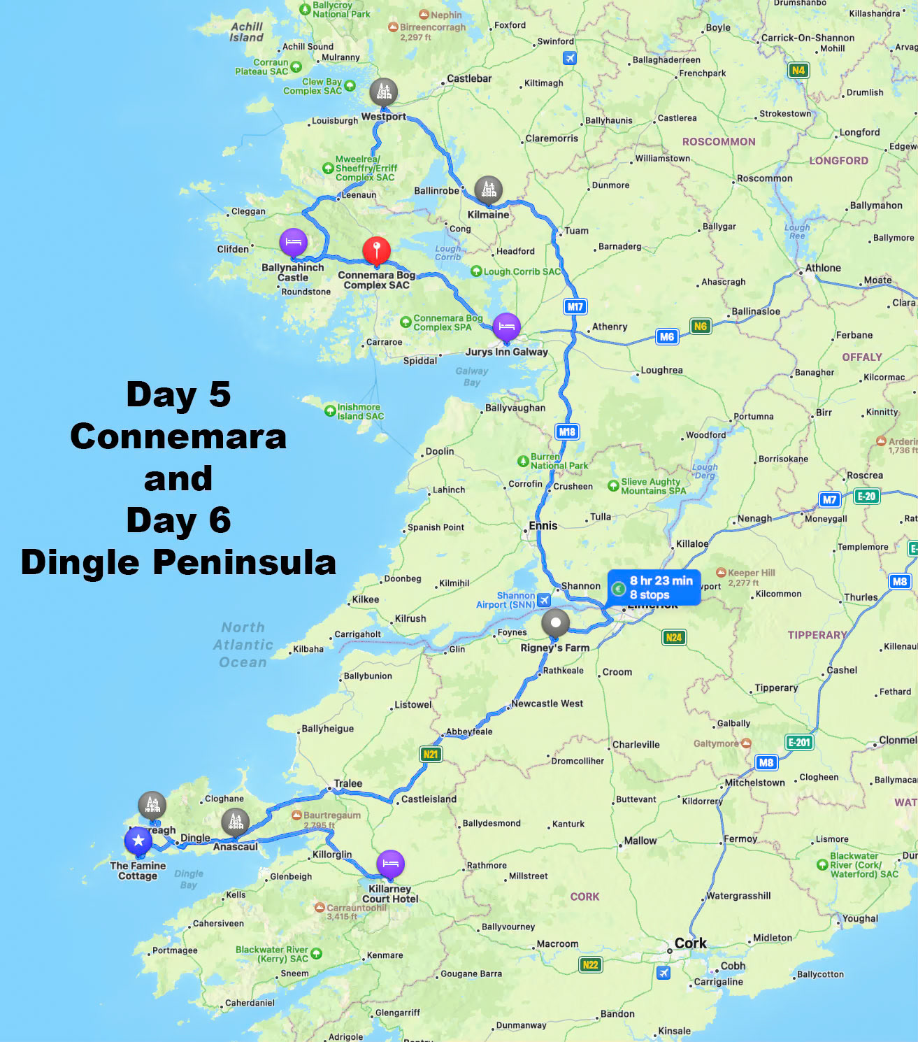 Location: Houston, TX — Malone St. Backyard