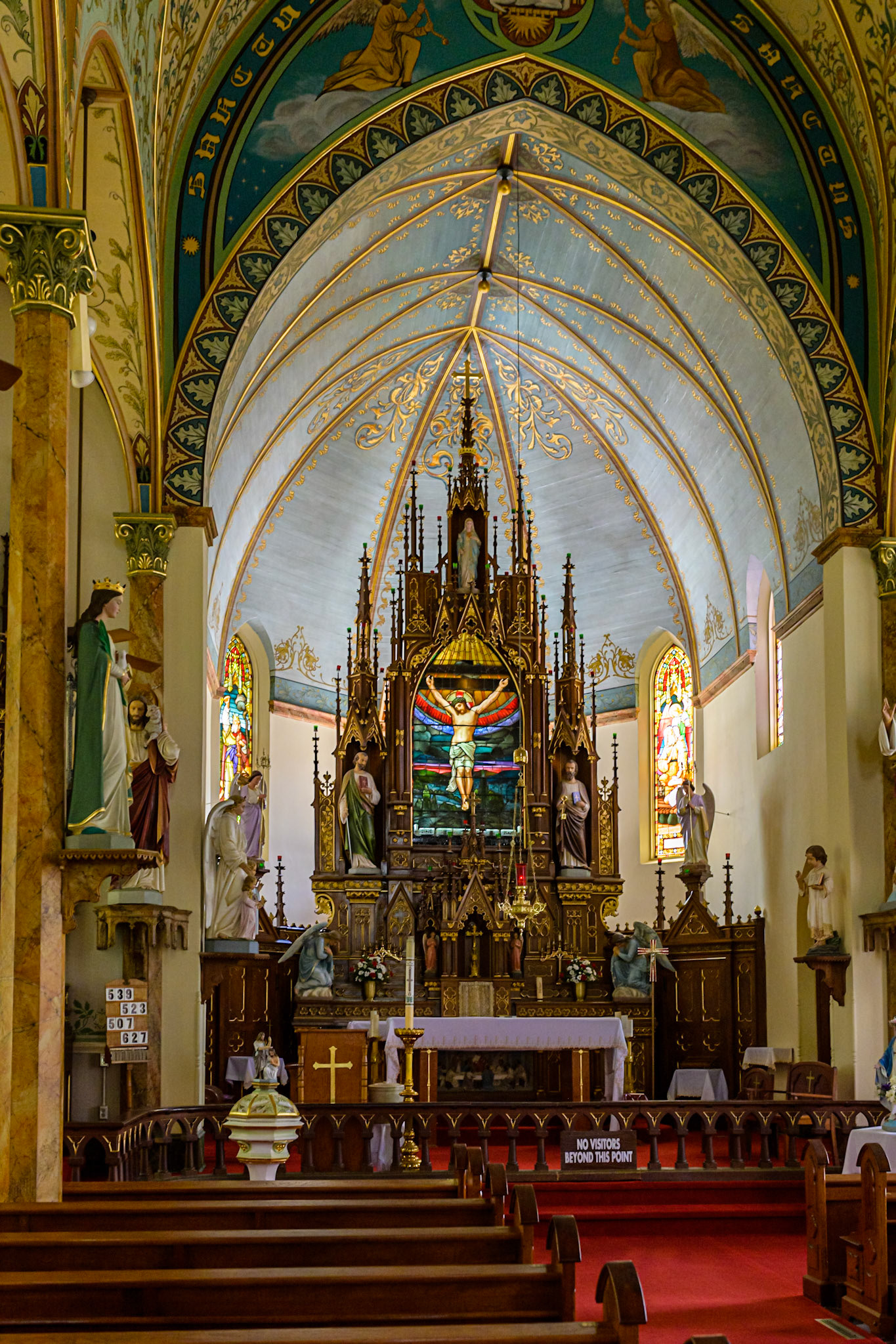 Location: Houston, TX — Malone St. Backyard