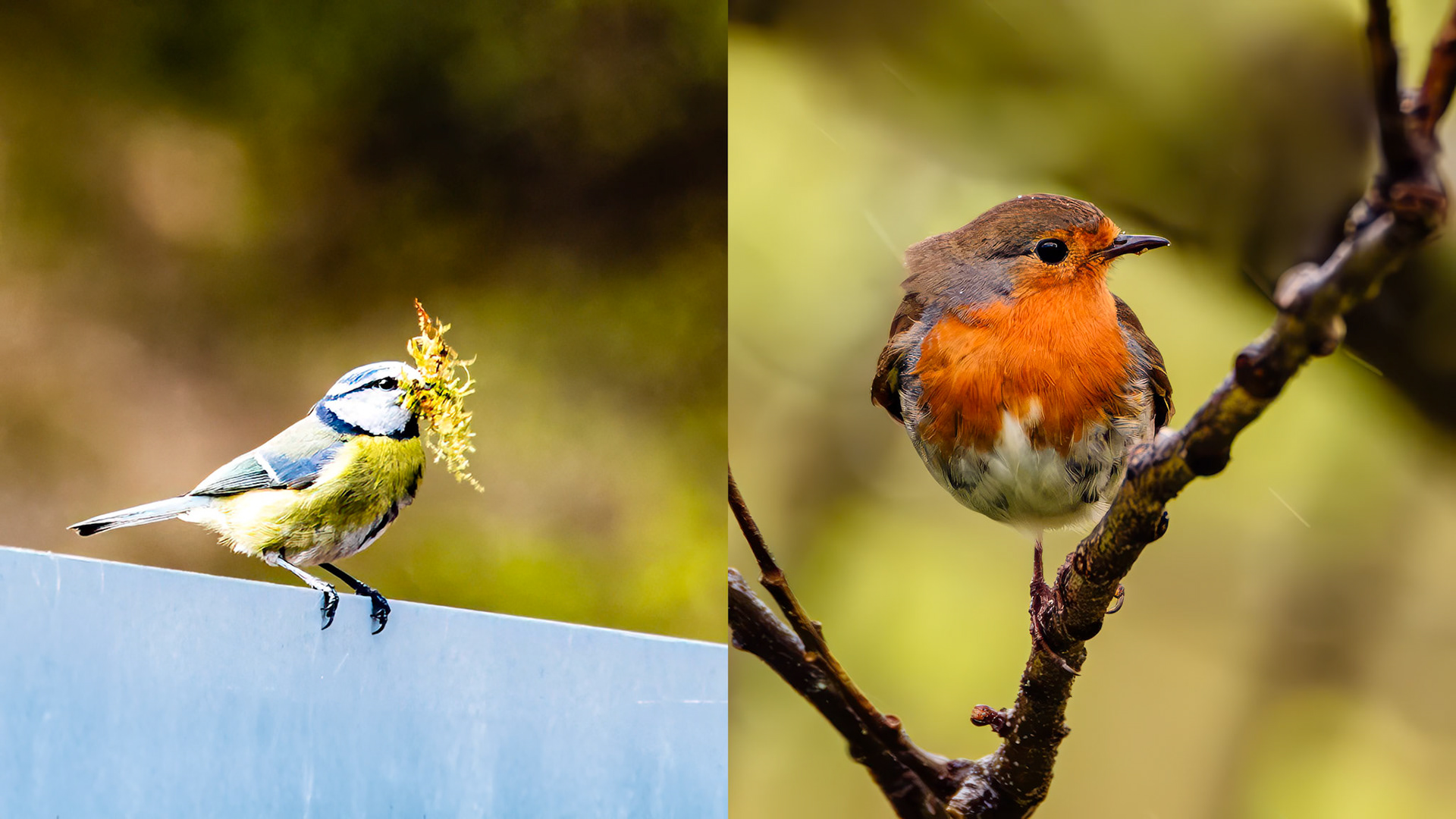 Location: Blackwater River near Garve