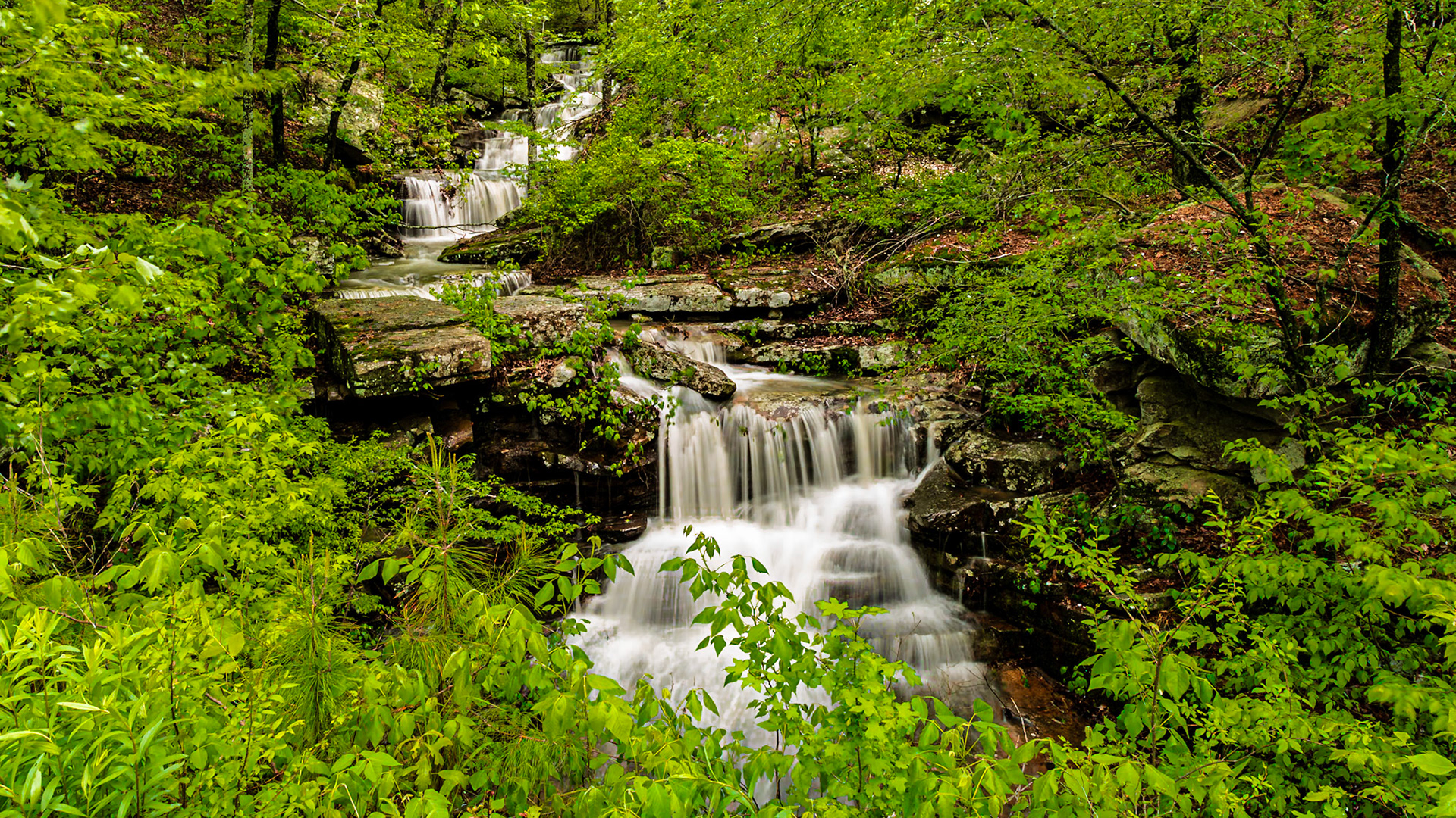 Location: Mount Magazine S.P. Arkansas