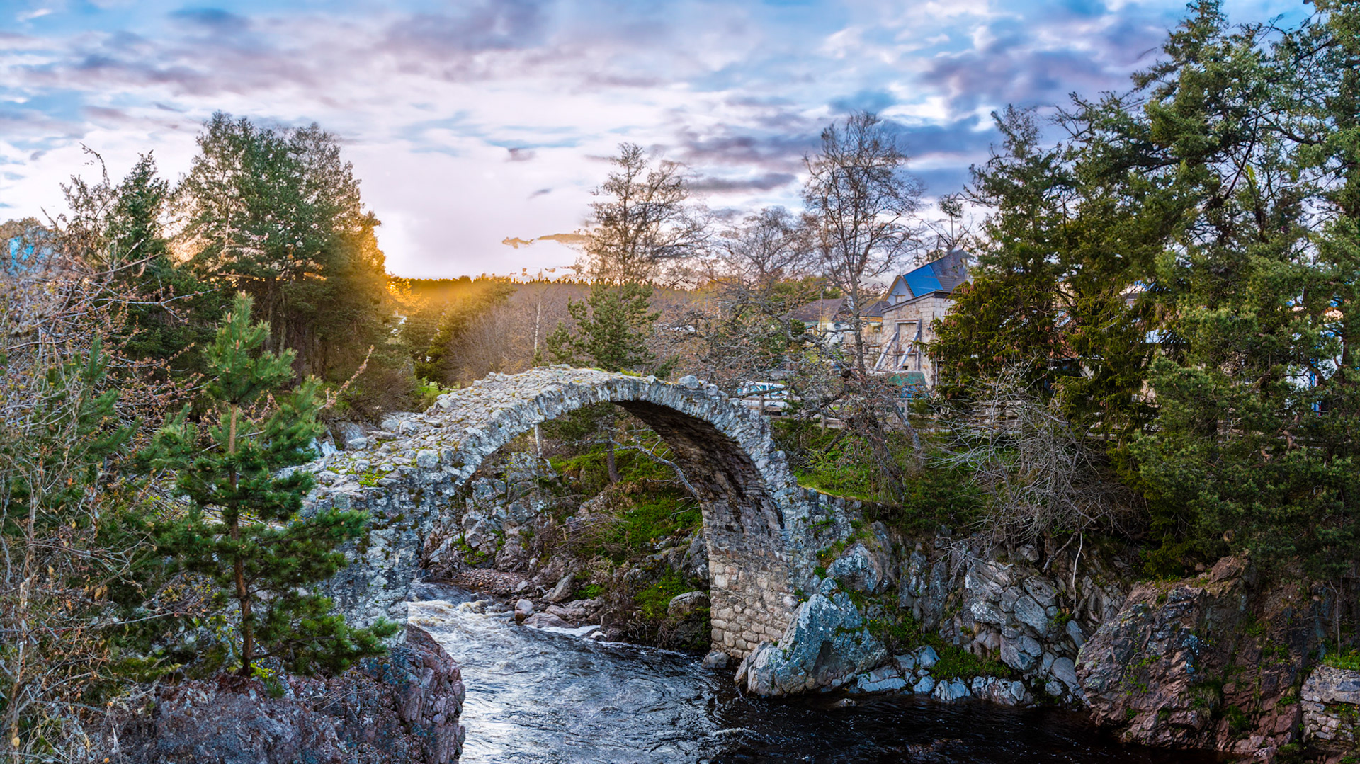 Location:Carrbridge Scottish Highlands, U.K.
