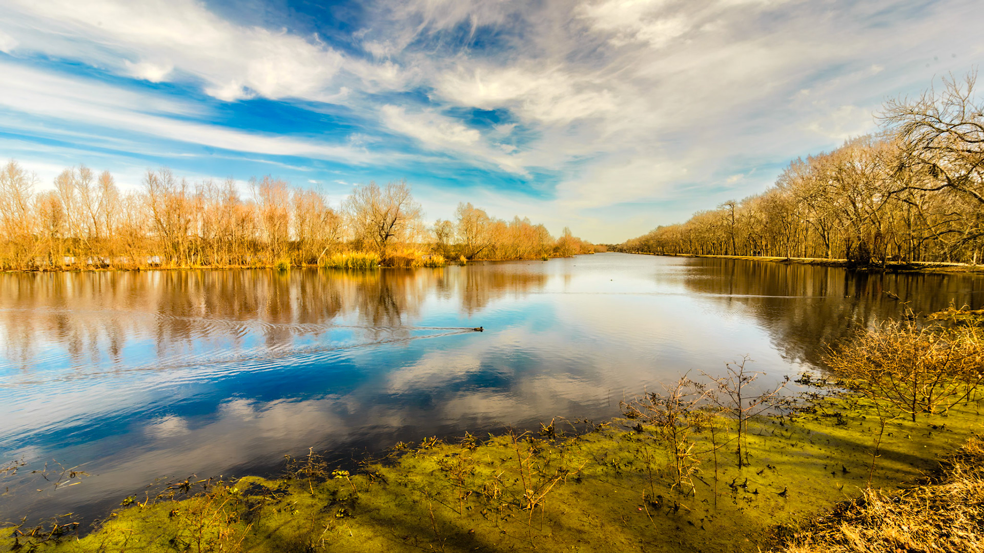 Location: Brazos Bend S.P TX