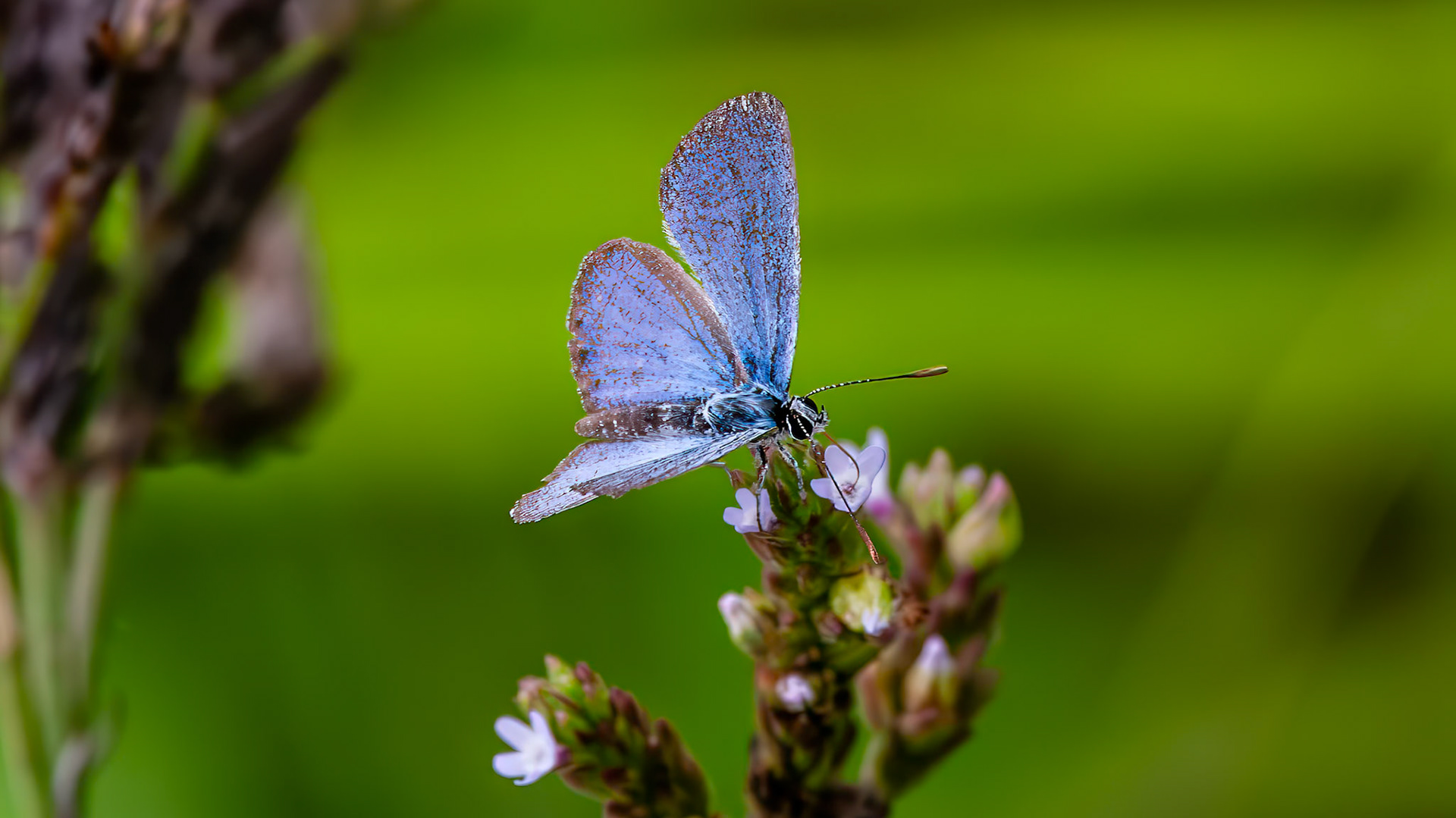 Willow Waterhole Wetland, Houston, TX