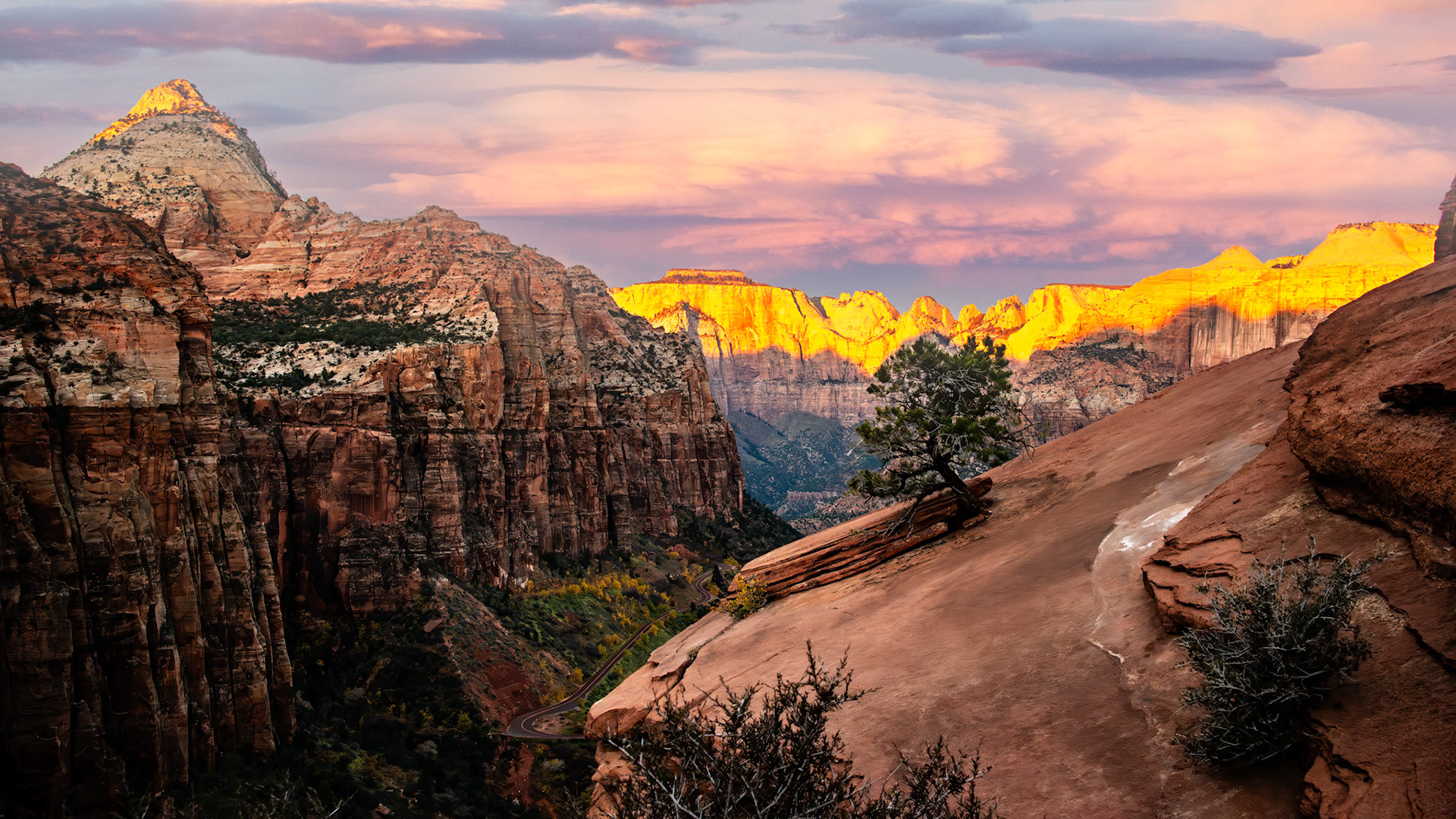 Location: Canyon Overlook Trail, Zion National Park, Utah
