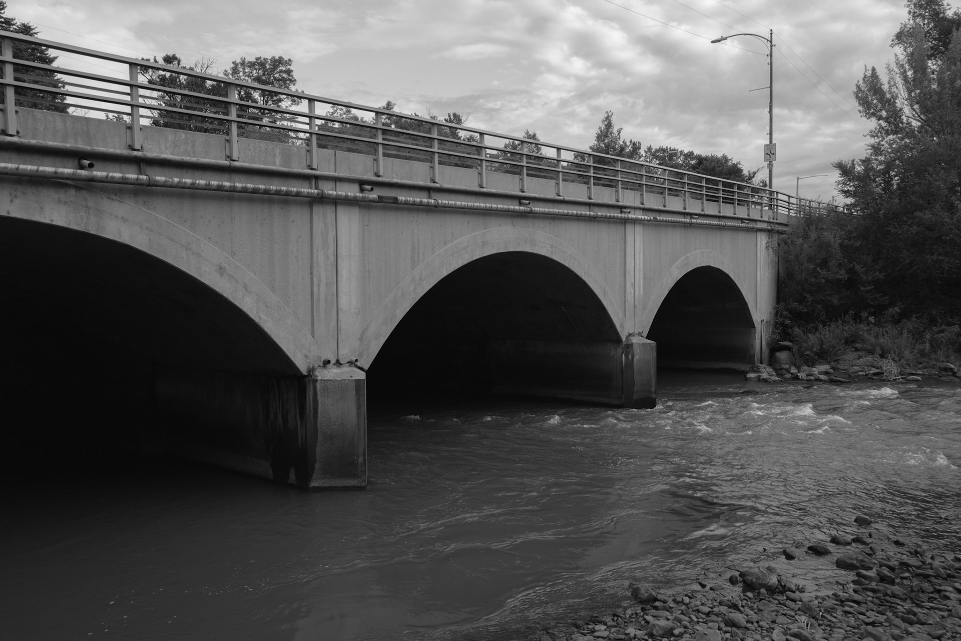 Round trip walk of the entire Animas River Trail in Durango, CO. I started early morning at the northern trailhead, Oxbow Park and Preserve, and walked south until reaching the end at Dallabetta Park. It took me about 3 hours to walk the 8.3 miles to the end before turning around to head back to Oxbow Park.