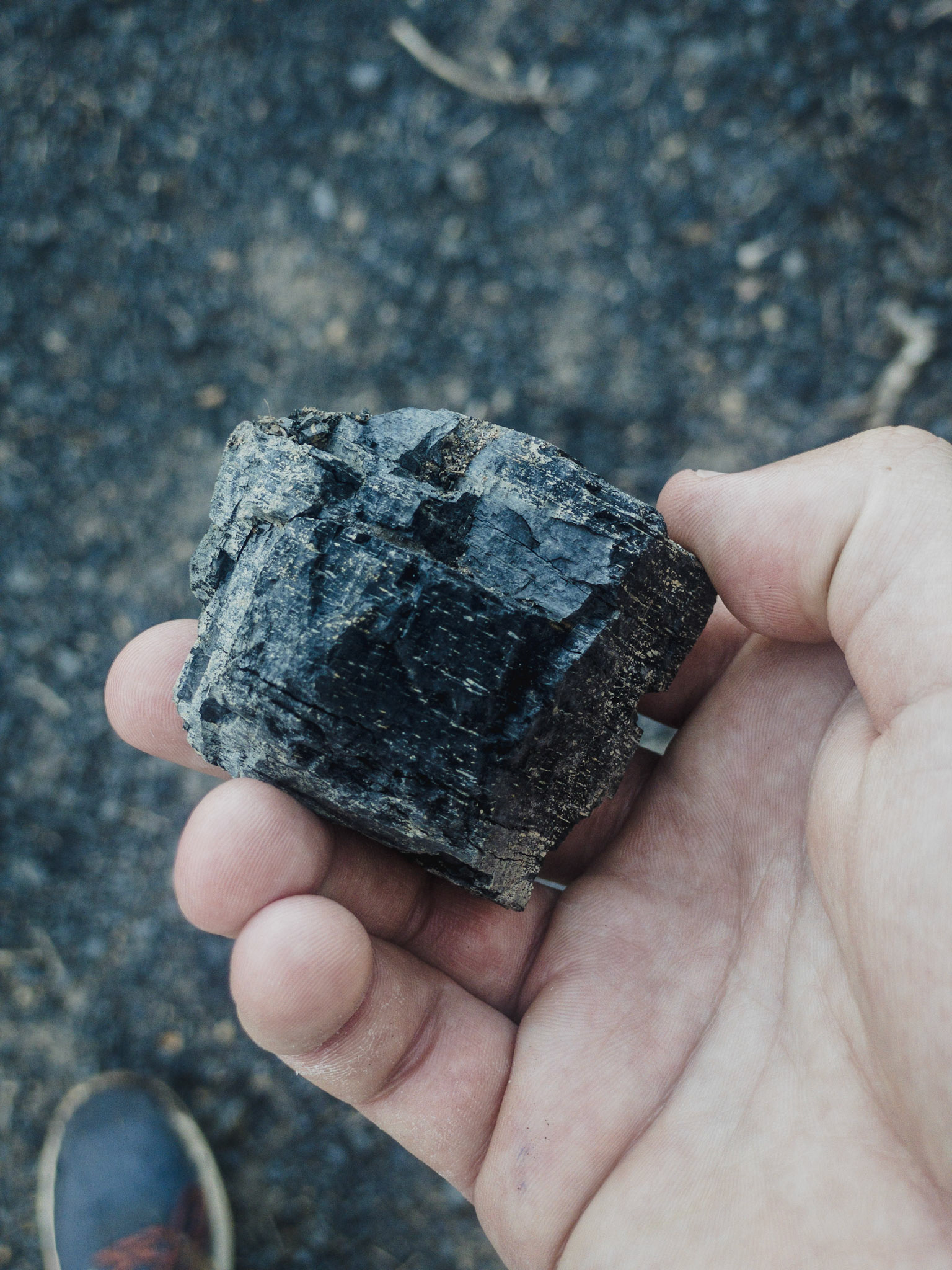 Doing a hike up to Perins Peak the other day and stumbled upon the original route for the Boston Coal &amp; Fuel Railroad. The old path is seldom walked and overgrown in many areas, I saw no footprints along the way. The railroad was dismantled in 1927 after the mine closed.  The established trail to Perins Peak follows the old route for a while before splitting off and heading to the mine.