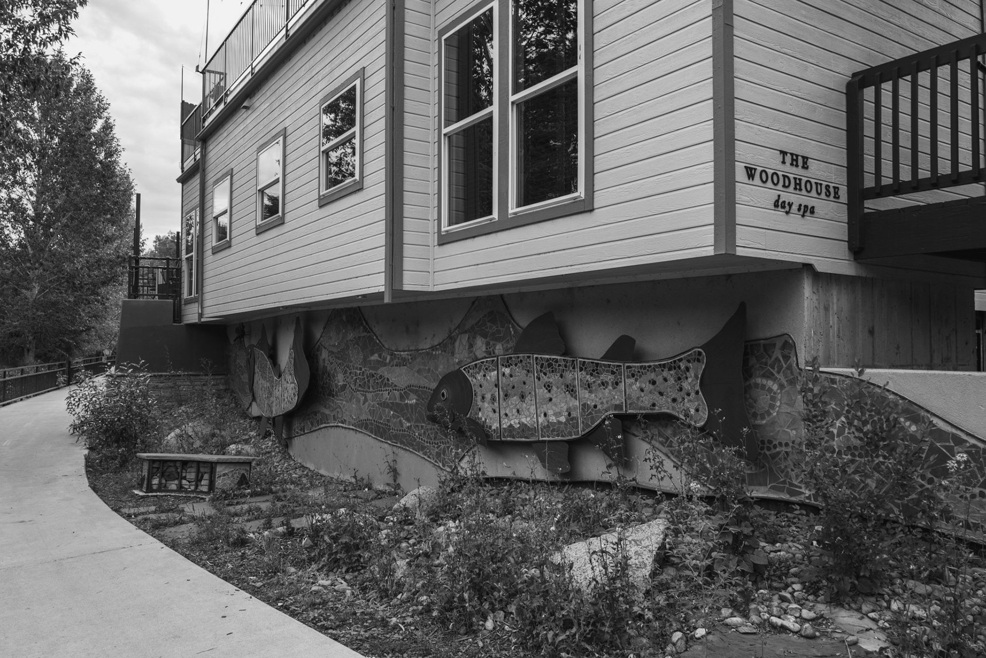 Round trip walk of the entire Animas River Trail in Durango, CO. I started early morning at the northern trailhead, Oxbow Park and Preserve, and walked south until reaching the end at Dallabetta Park. It took me about 3 hours to walk the 8.3 miles to the end before turning around to head back to Oxbow Park.