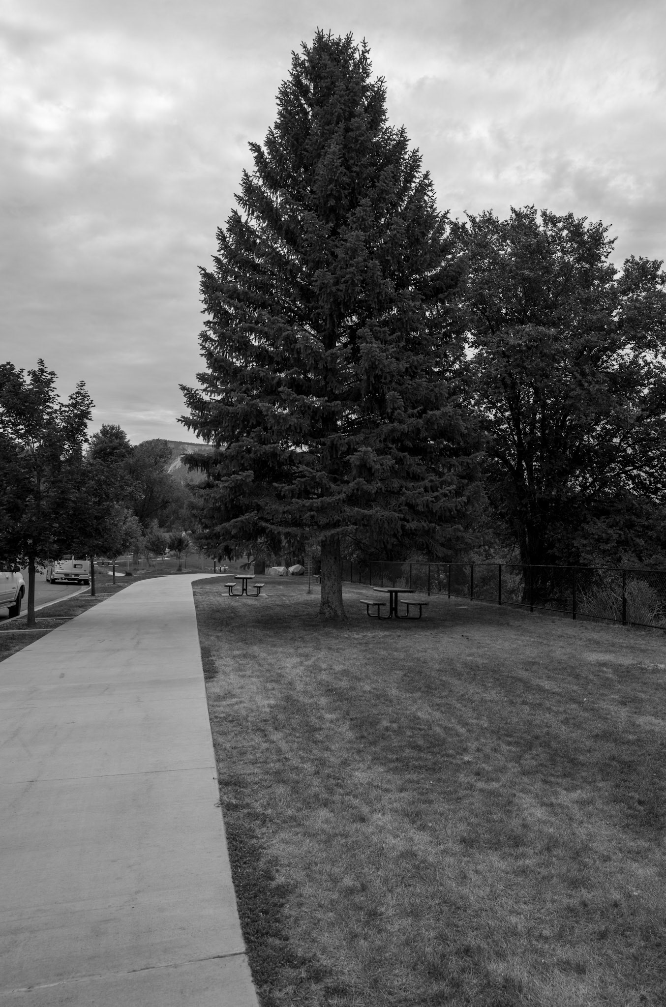Round trip walk of the entire Animas River Trail in Durango, CO. I started early morning at the northern trailhead, Oxbow Park and Preserve, and walked south until reaching the end at Dallabetta Park. It took me about 3 hours to walk the 8.3 miles to the end before turning around to head back to Oxbow Park.