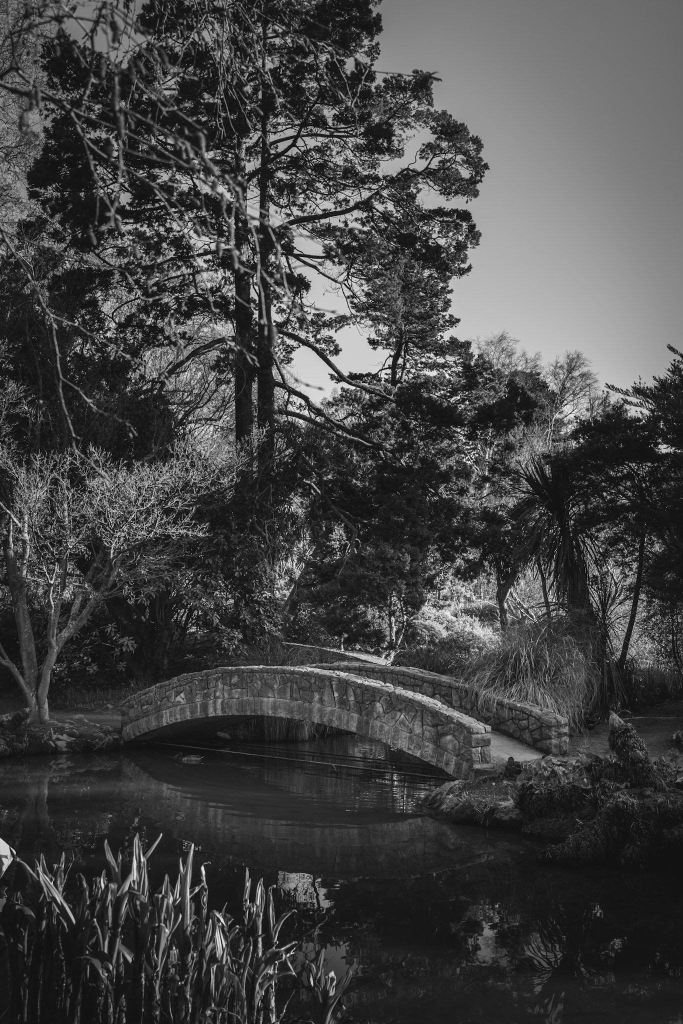 A small stone bridge over some water