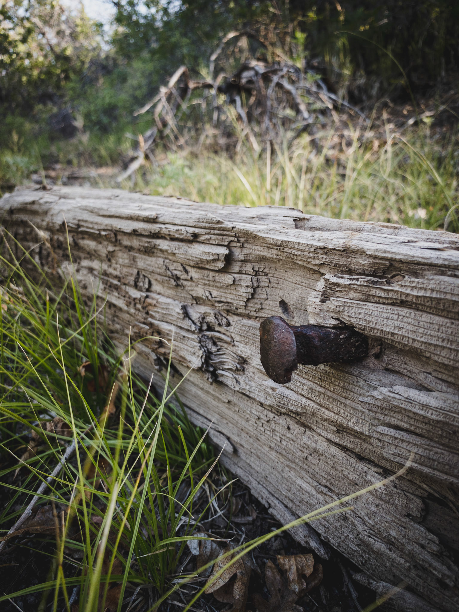 Doing a hike up to Perins Peak the other day and stumbled upon the original route for the Boston Coal &amp; Fuel Railroad. The old path is seldom walked and overgrown in many areas, I saw no footprints along the way. The railroad was dismantled in 1927 after the mine closed.  The established trail to Perins Peak follows the old route for a while before splitting off and heading to the mine.